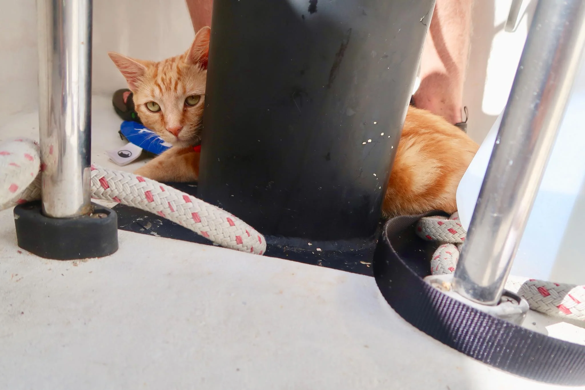 Sailing Life Day 39: Sailing from George Town, Exumas to Calabash Bay, Galliot Cay in Long Island 