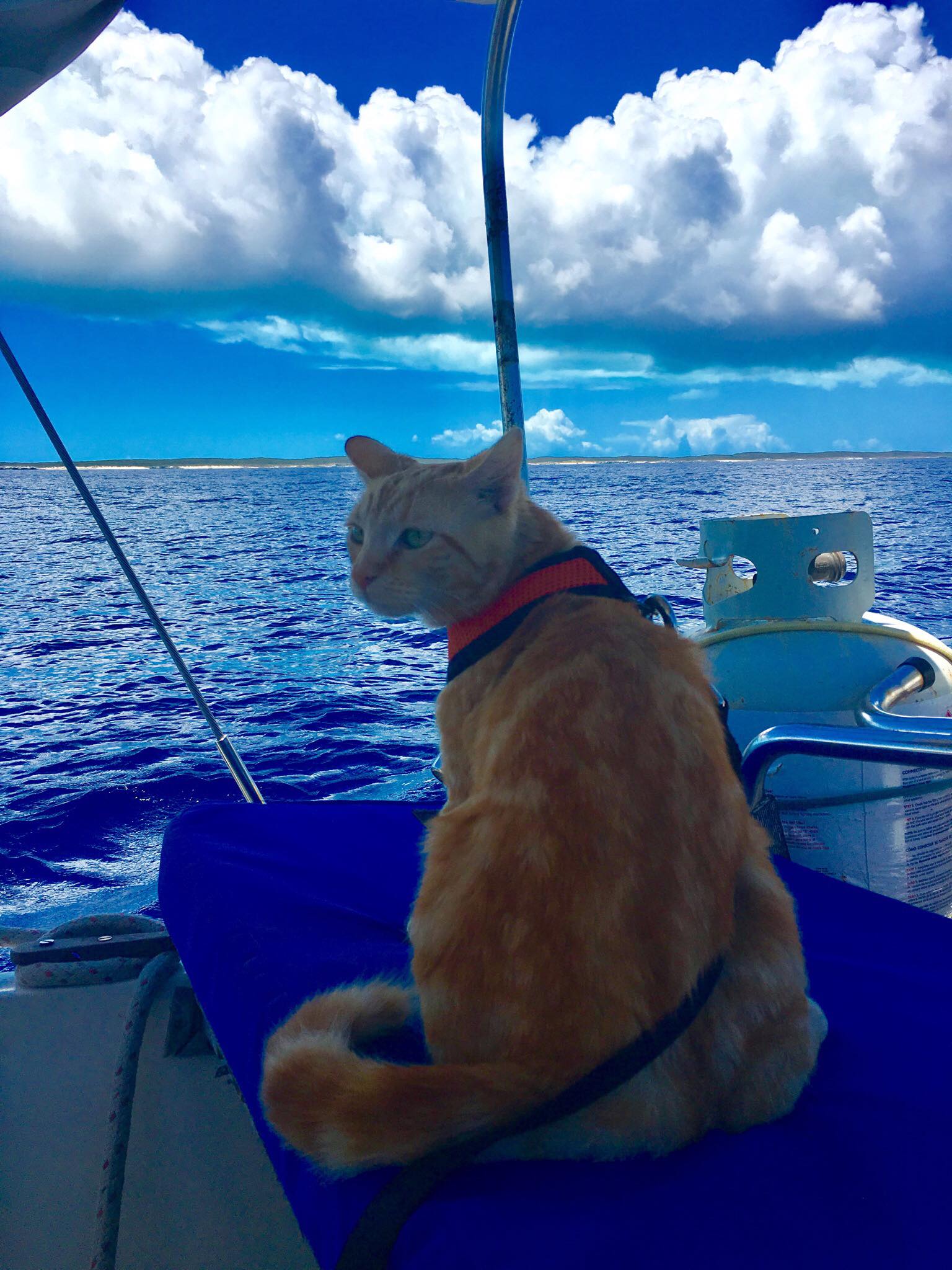 Sailing Life Day 40: Sailing from Calabash Bay in Northern Tip of Long Island to Clarence Town -47 NM