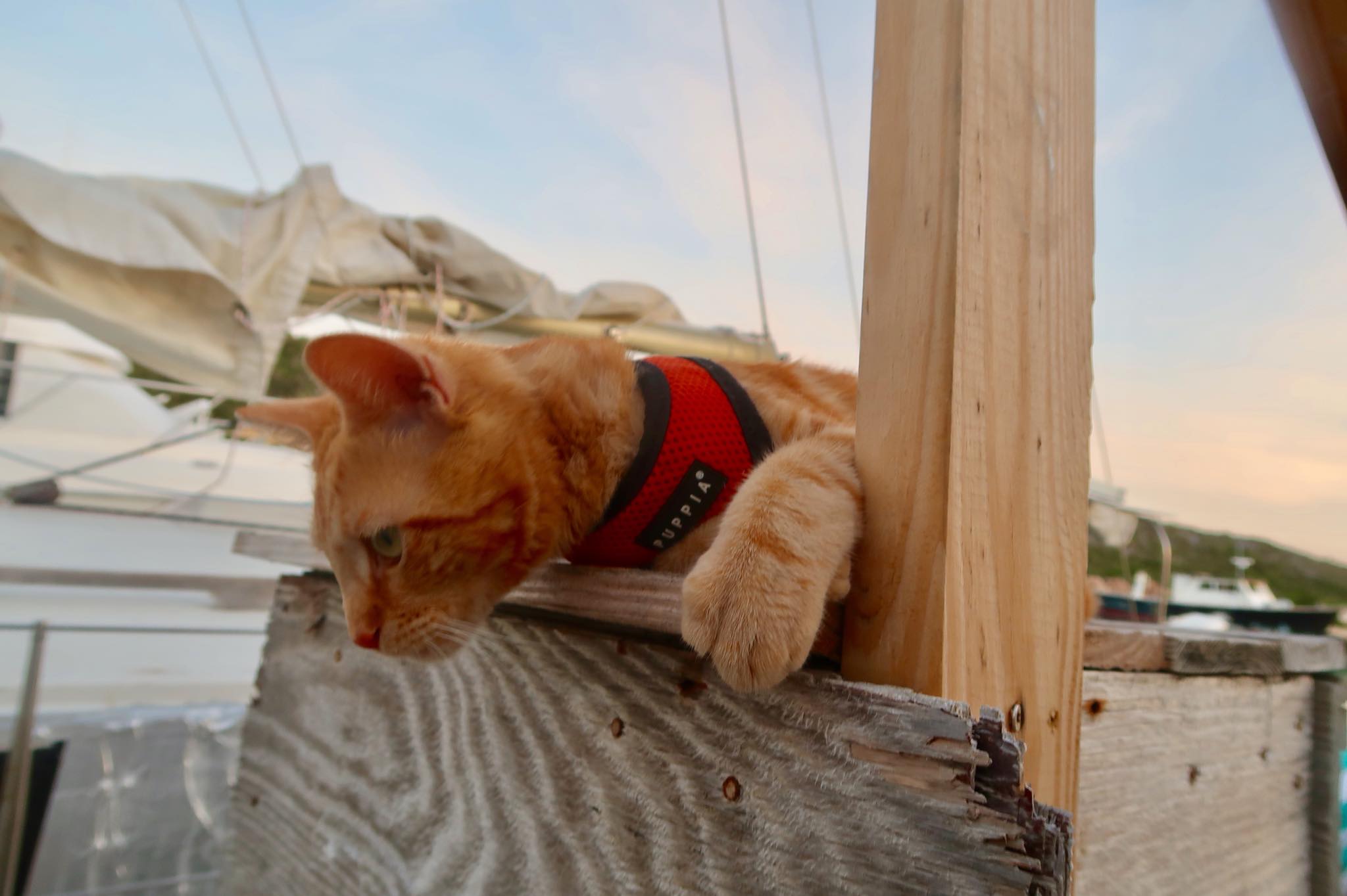 Sailing Life Day 43:  Detour! Emergency on Board while on Passage to Luperon! We sailed back up to Provo, Turks & Caicos