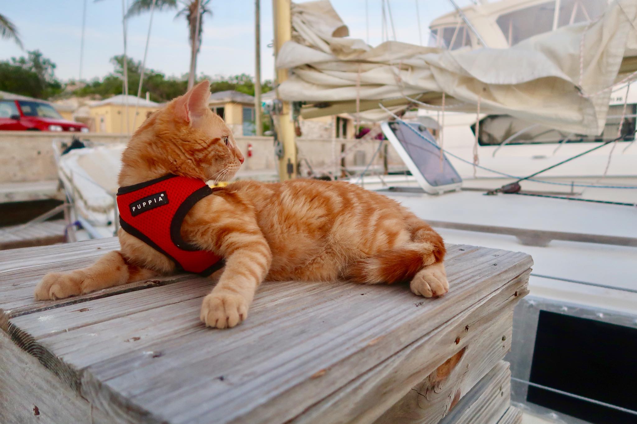 Sailing Life Day 43:  Detour! Emergency on Board while on Passage to Luperon! We sailed back up to Provo, Turks & Caicos