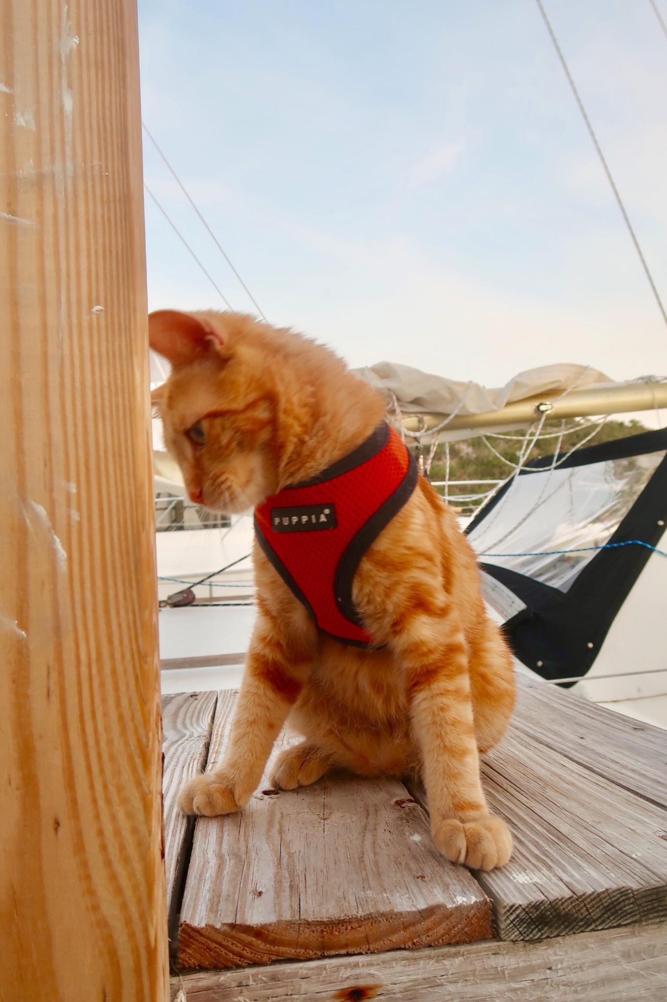 Sailing Life Day 43:  Detour! Emergency on Board while on Passage to Luperon! We sailed back up to Provo, Turks & Caicos