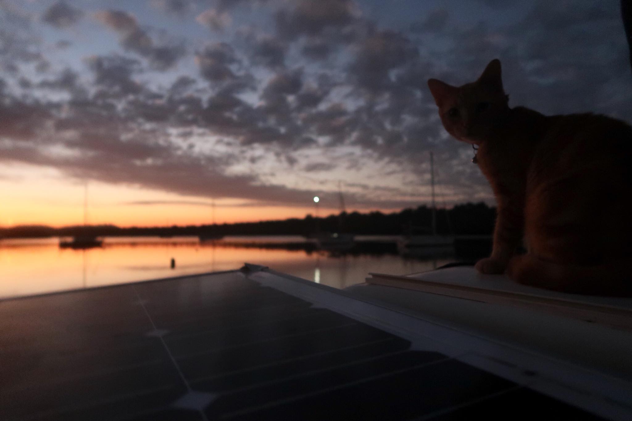 Sailing Life Day 64: Sunday Fun Day with Two Cats Sailing here in Luperon, Dominican Republic🤣😍