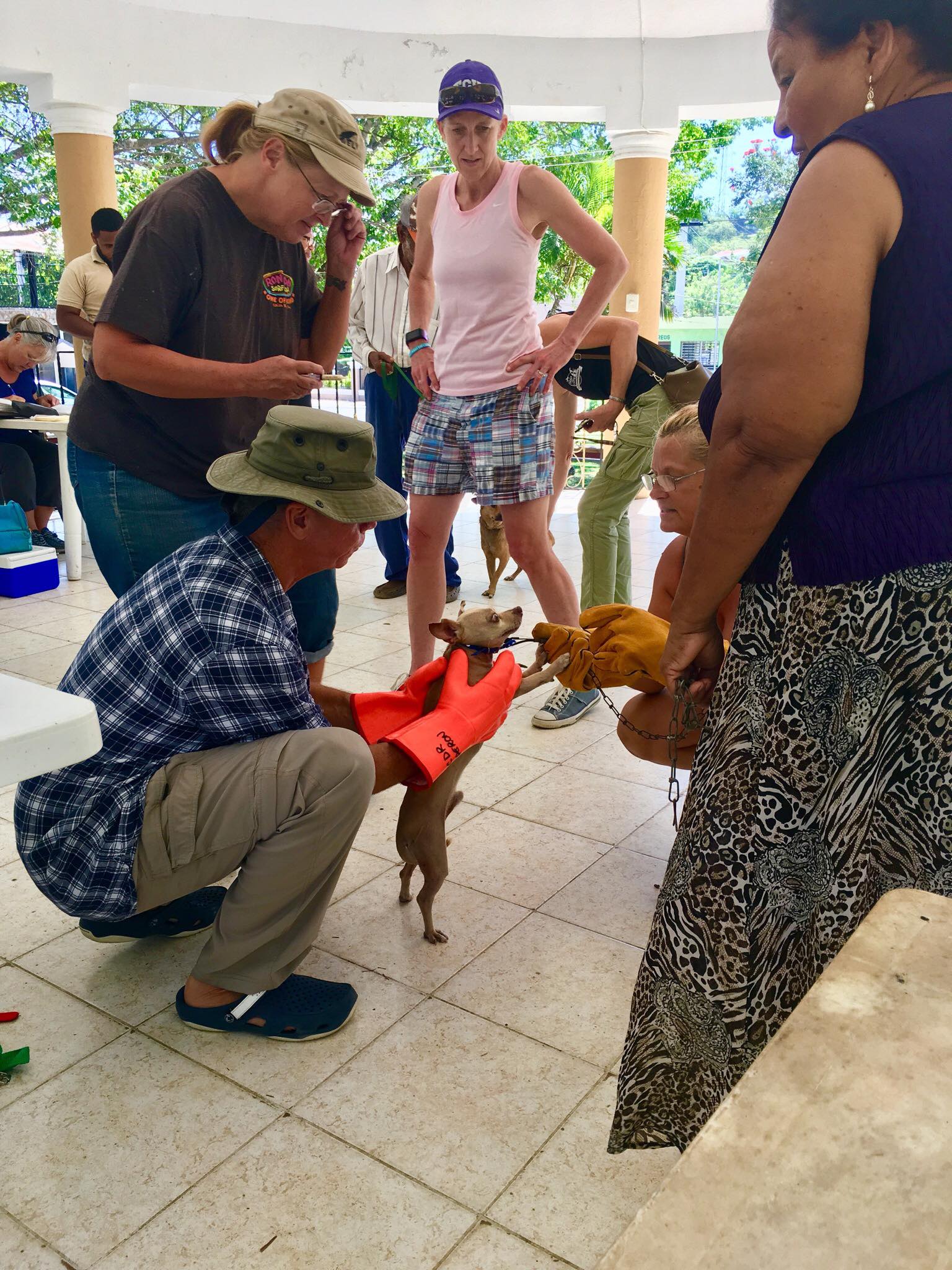 Sailing Life Day 66: Volunteering at the “Monthly” Animal Clinic for Locals here in Luperon