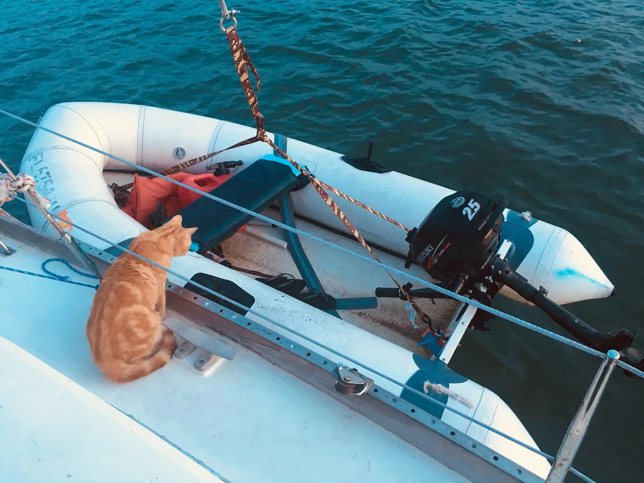 Liveaboard Life Day 93 - 95: Back to Housewife / Cat Mommy Duties + Non-Stop Online Work Schedule