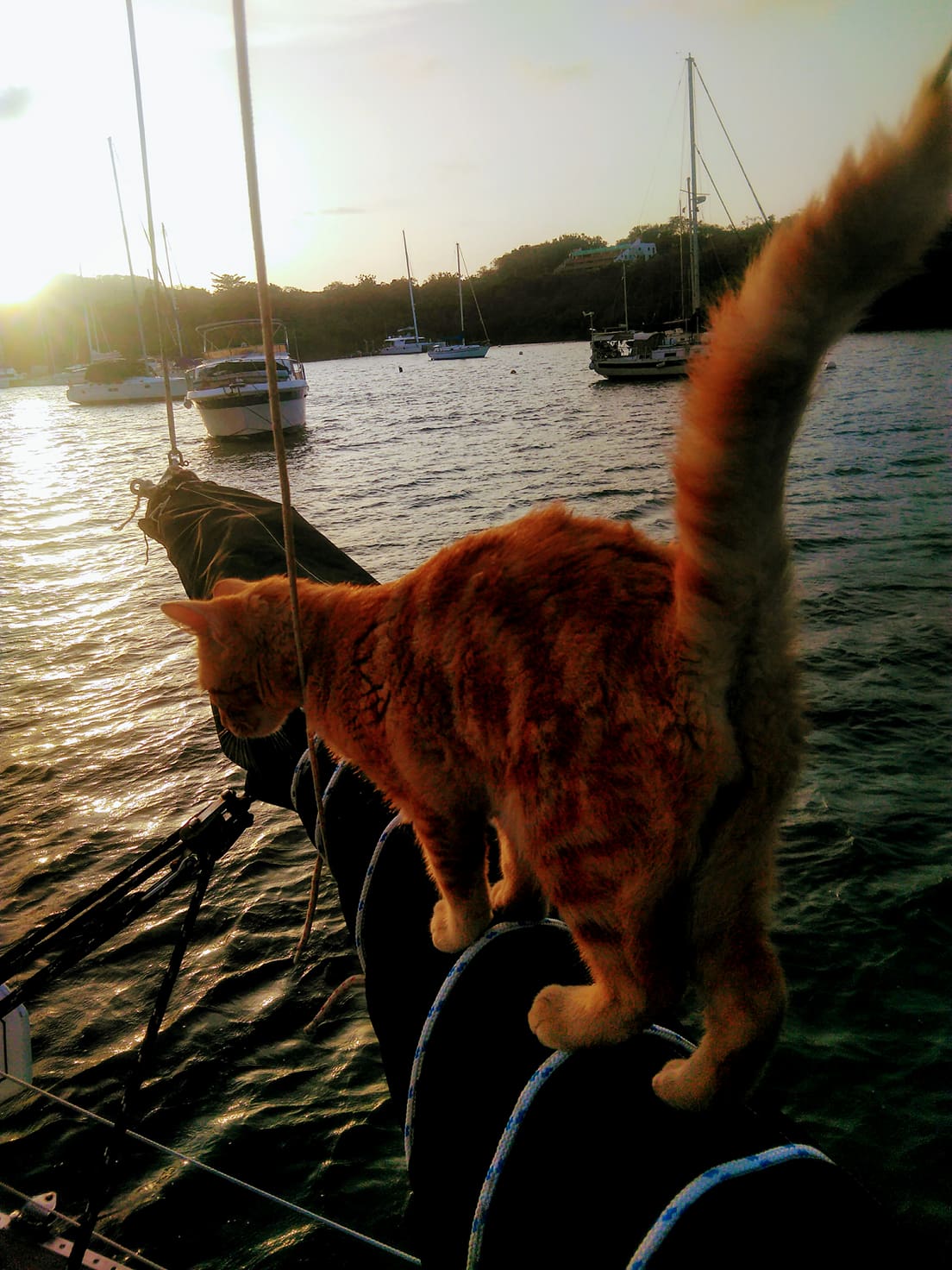 Liveaboard Life Day 124: Jonathan and Captain Ahab’s Life on S/V Empress