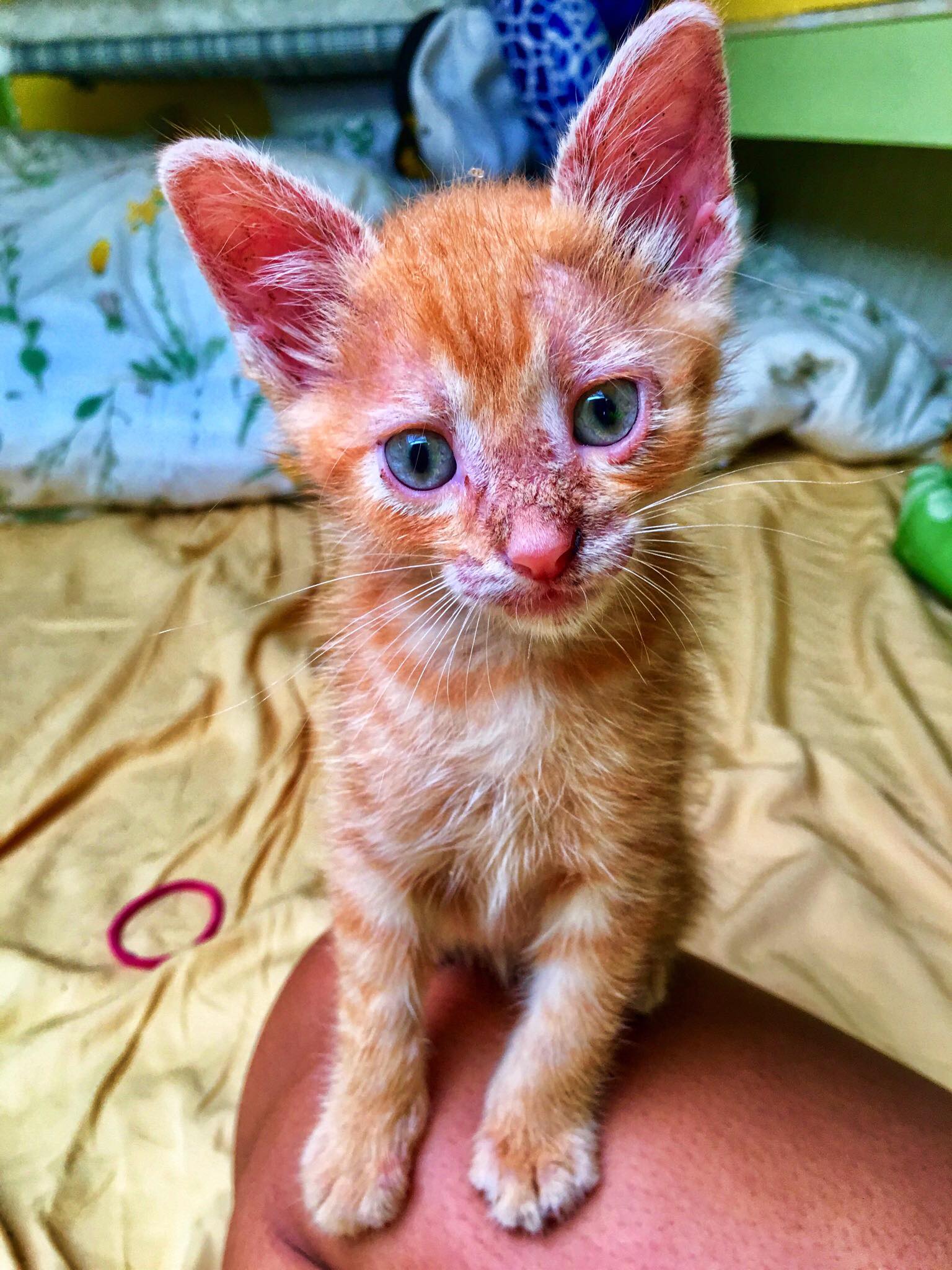 Liveaboard Life Day 138 - 143: Welcoming a new member of our small family!