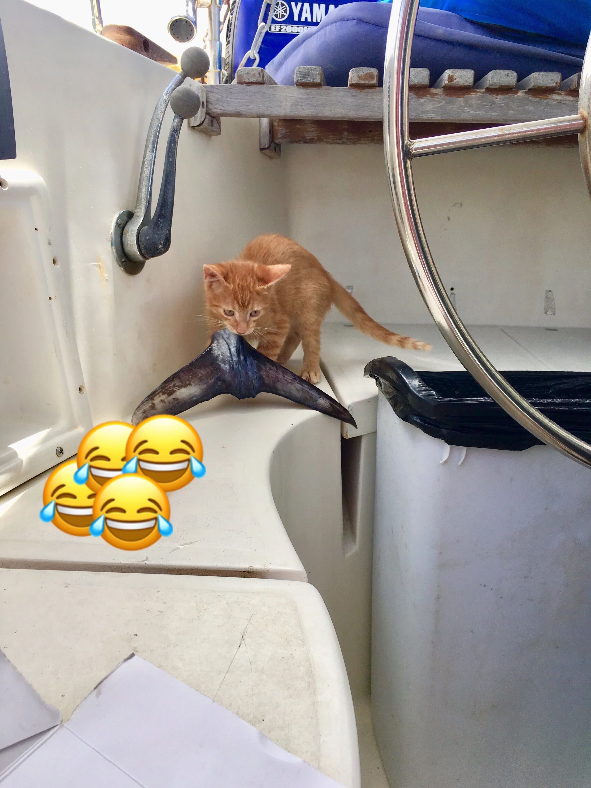 Liveaboard Life Day 171: Another beautiful day on the boat.. cooked Tamarind soup! ❤️