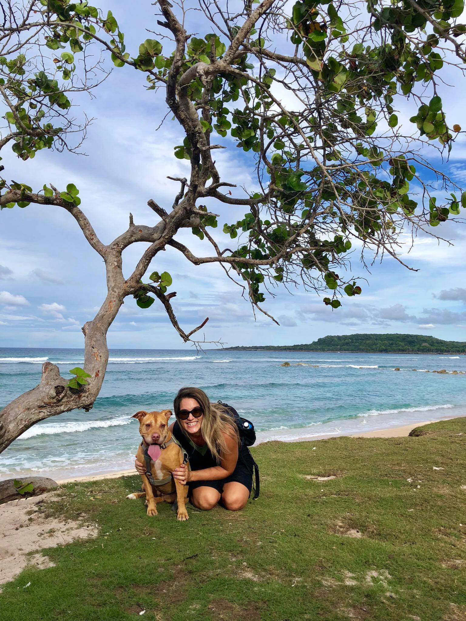 Liveaboard Life Day 250: Hello from Luperon, Dominican Republic!