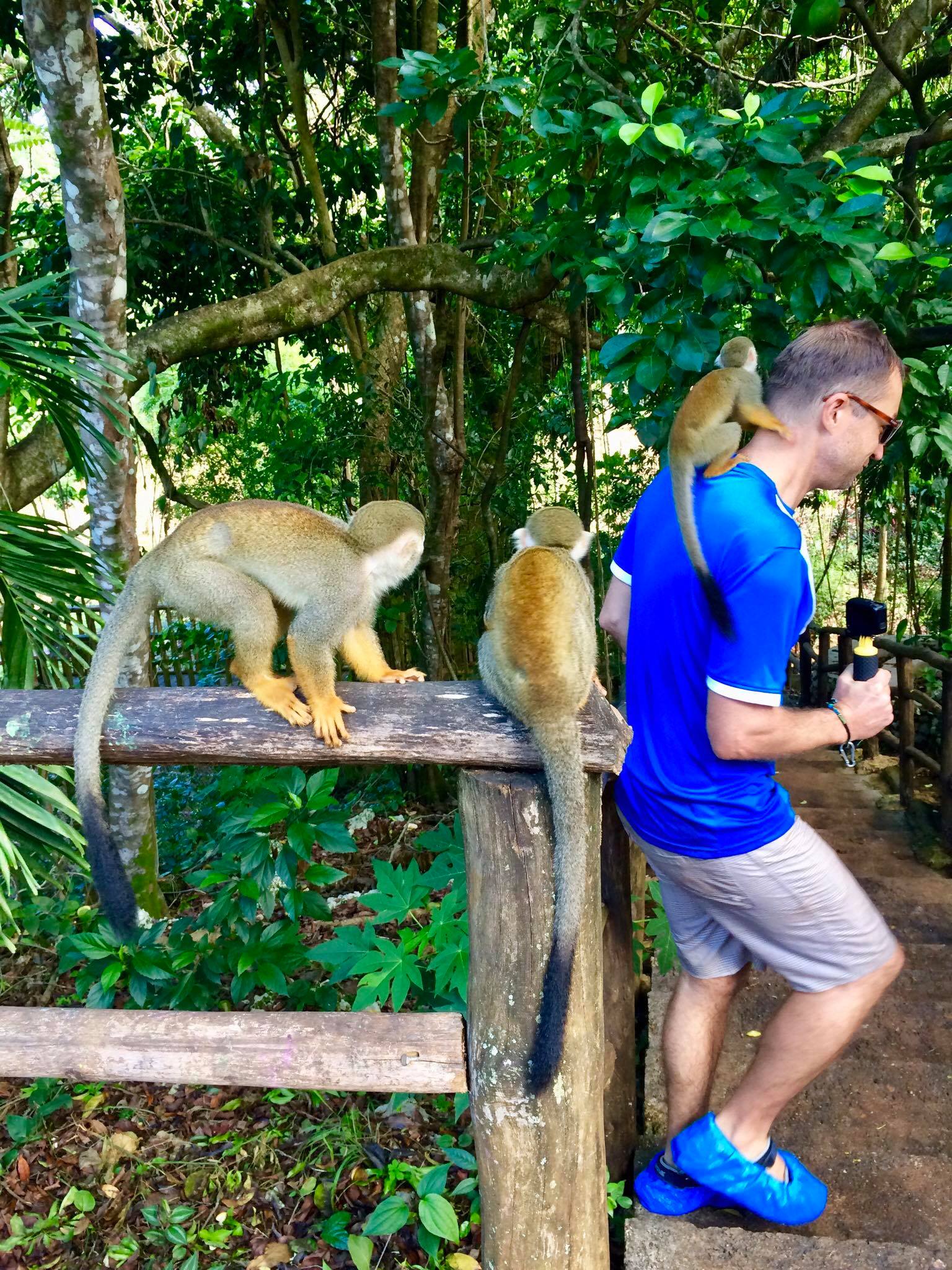 Liveaboard Life Day 257: Day Trip to Cabarete + Monkey Jungle Adventures 🐒