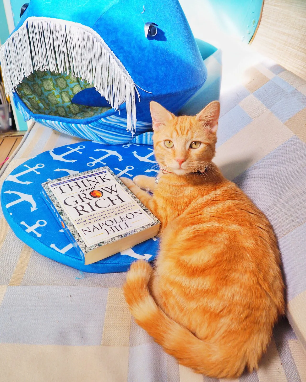 Sailing Life Day 8: Learning How to Cook While in Bimini, The Bahamas