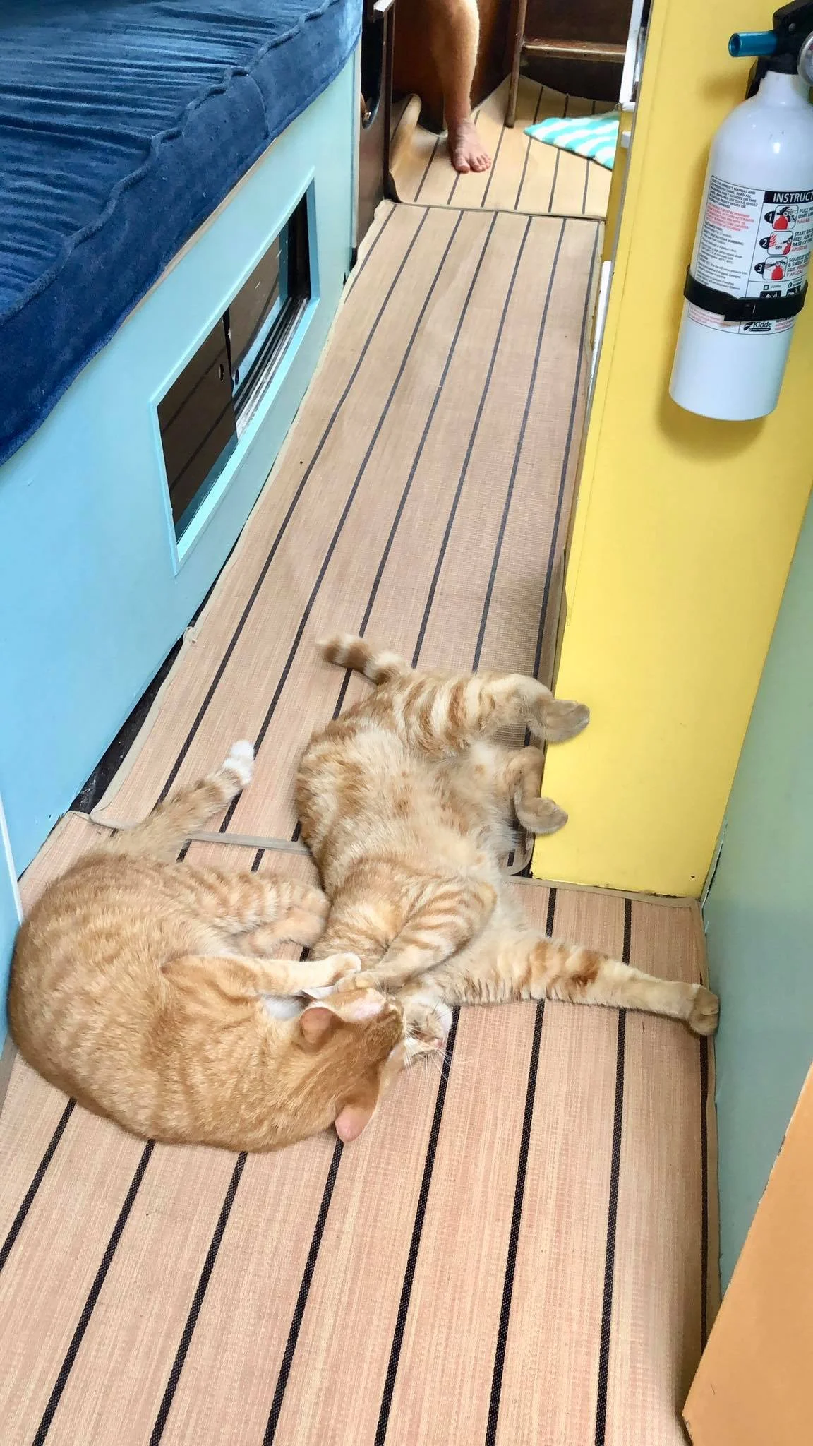 Sailing Life Day 312 Happy 2019 everyone9.jpg