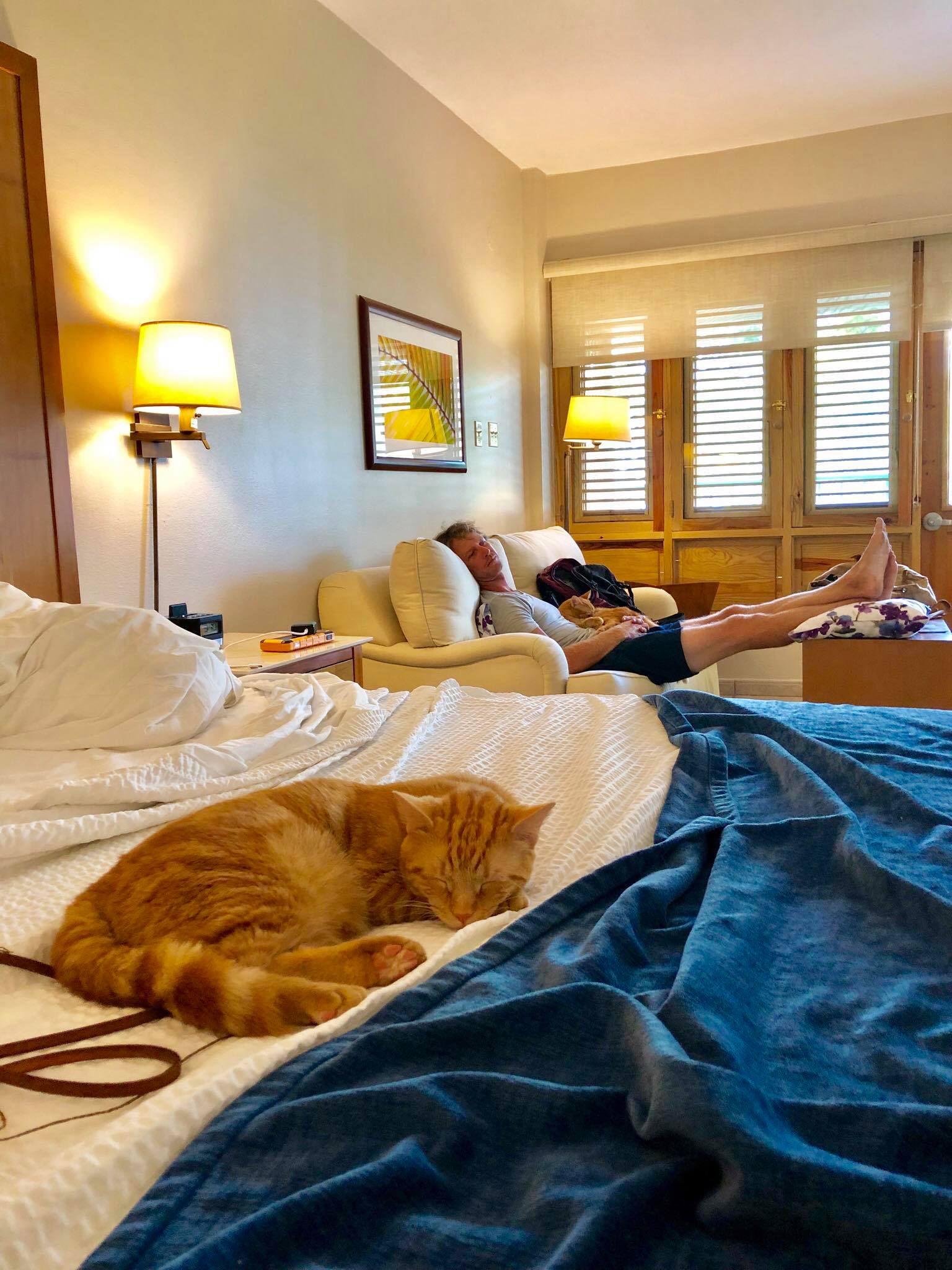Sailing Life Day 322 Hotel Life of The Sailors Cats - Captain Ahab & Little Zissou's Luxury Staycation1.jpg