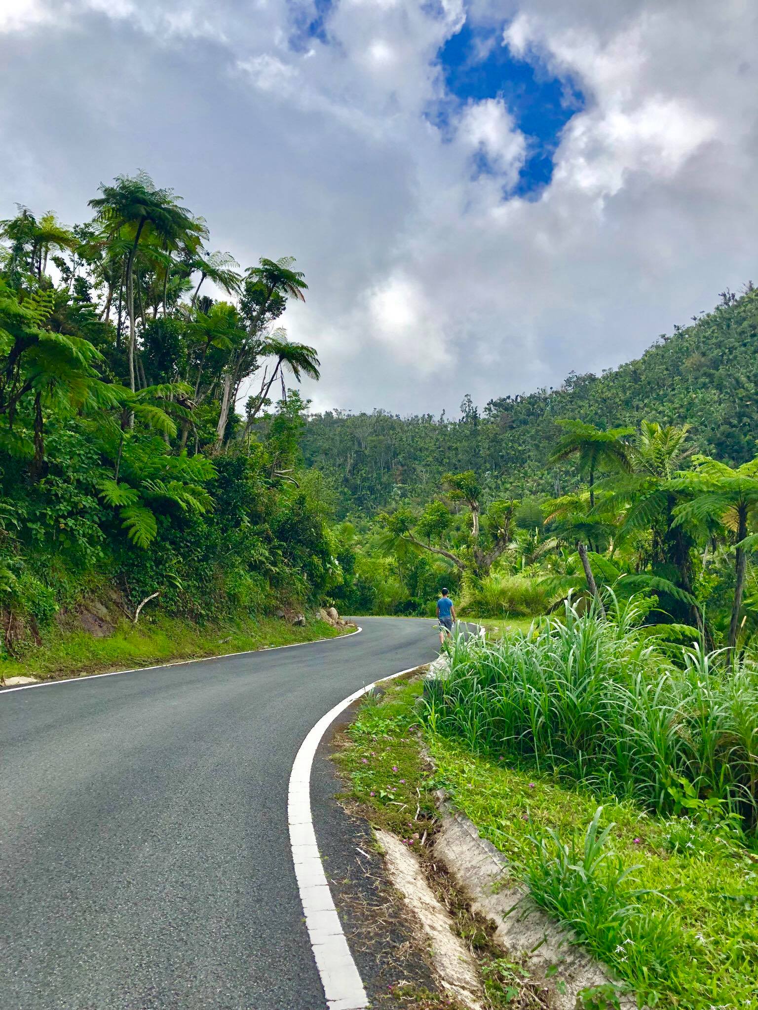 Life On The Road Day 10 Another day hiking in El Yunque National Forest and Eating BBQ at the malecon in Naguabo Promenade2.jpg