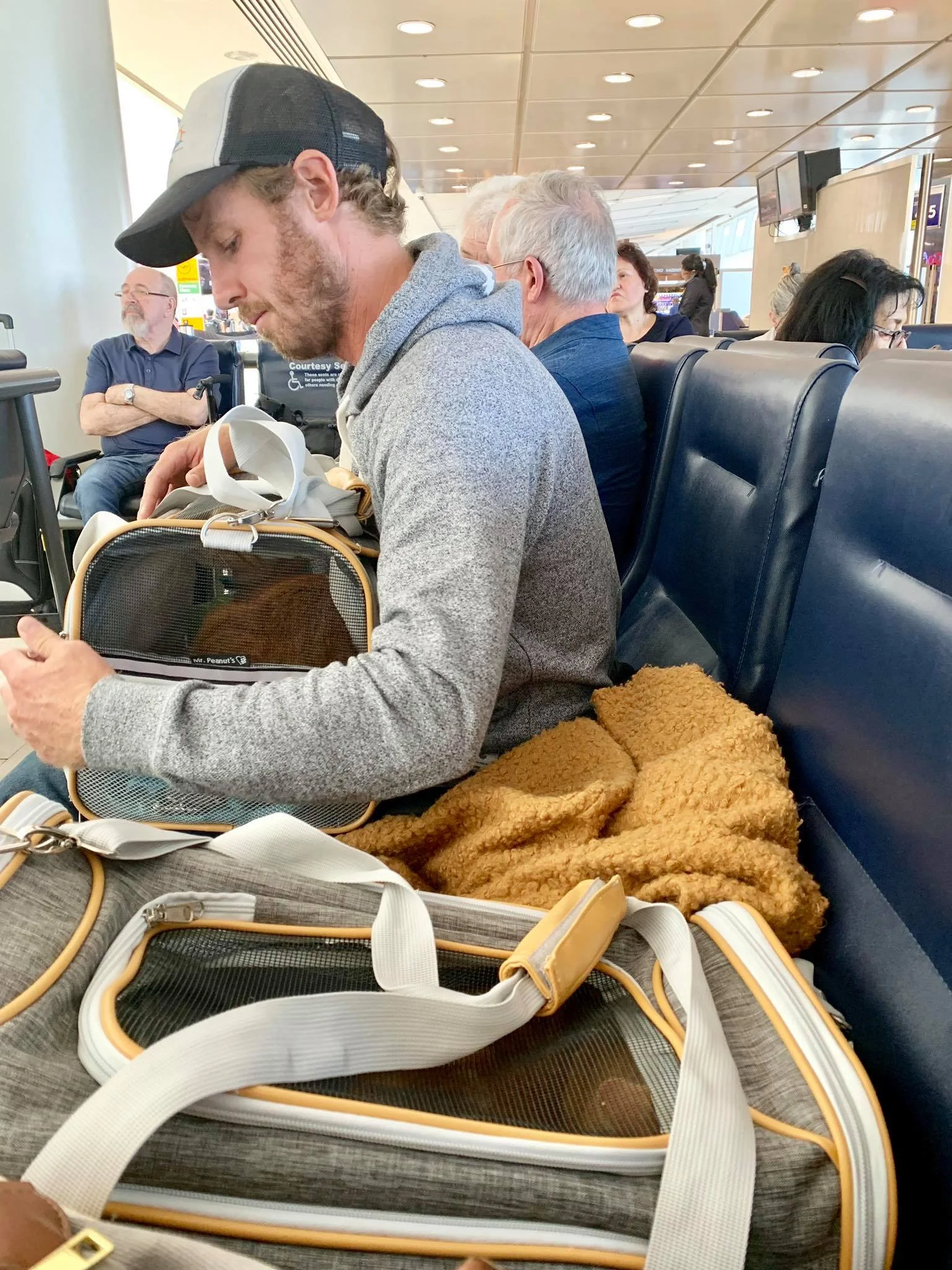 Aircraft Lufthansa Animal Transport Airplane Lufthansa Dog Cargo