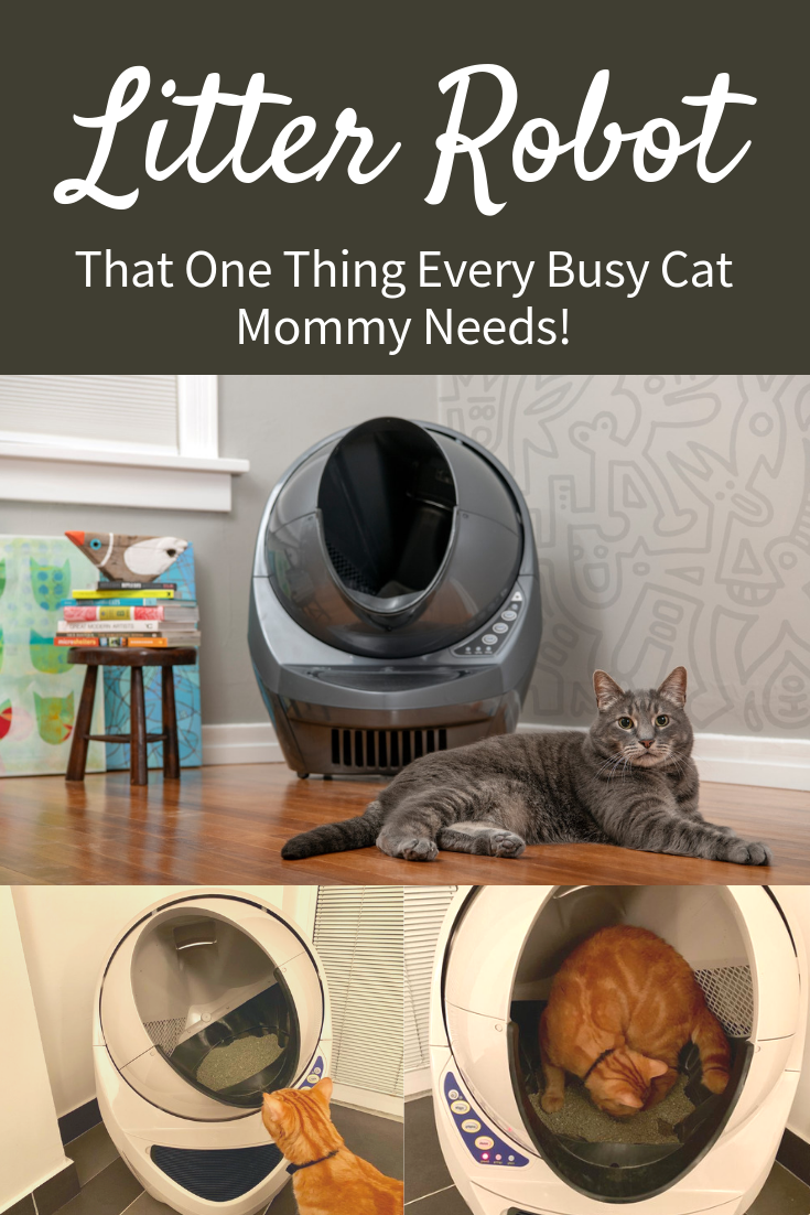 Litter Robot  That One Thing Every Busy Cat Mommy Needs2.png