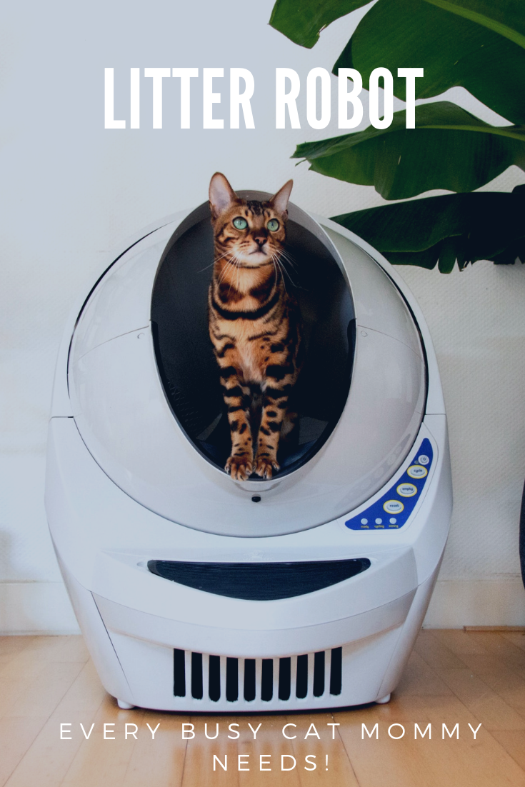 Litter Robot  That One Thing Every Busy Cat Mommy Needs.png