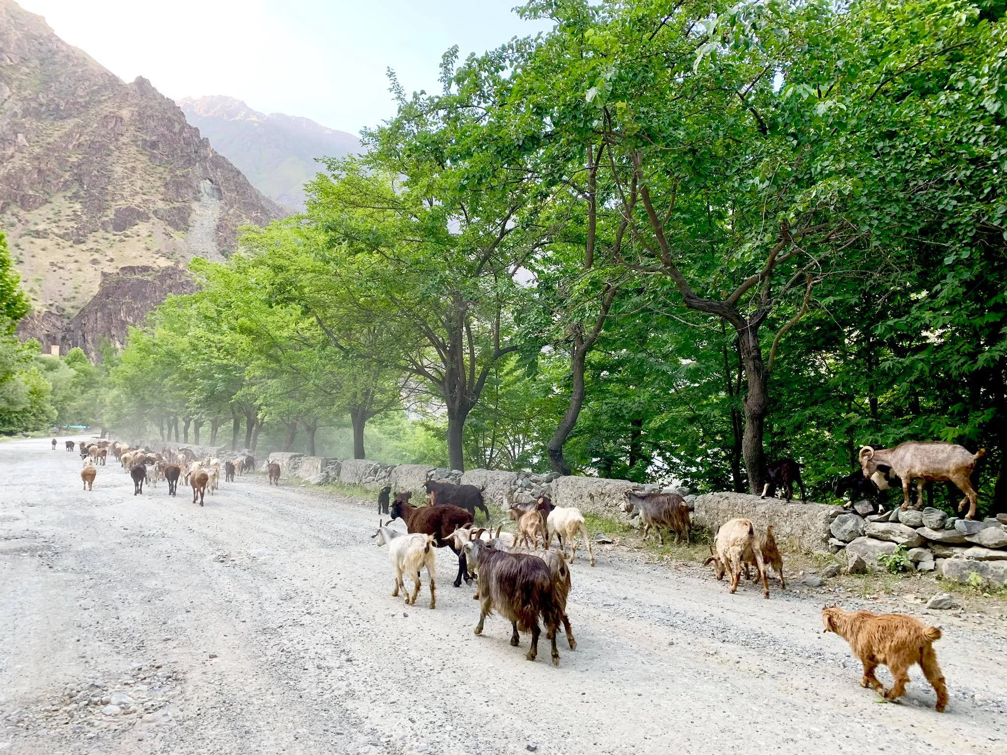 Kach Solo Travels in 2019 Beginning of my silk road overland journey in Central Asia18.jpg