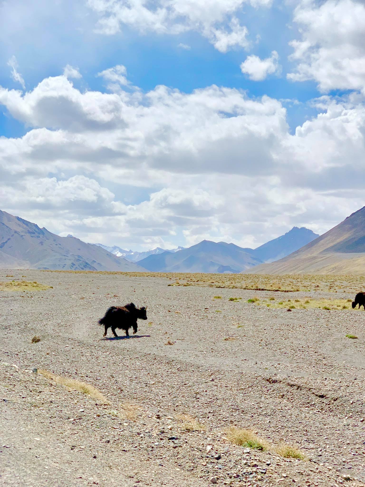 Kach Solo Travels in 2019 Last 8 days of Pamir Highway roadtrip with Paramount Journey.jpg