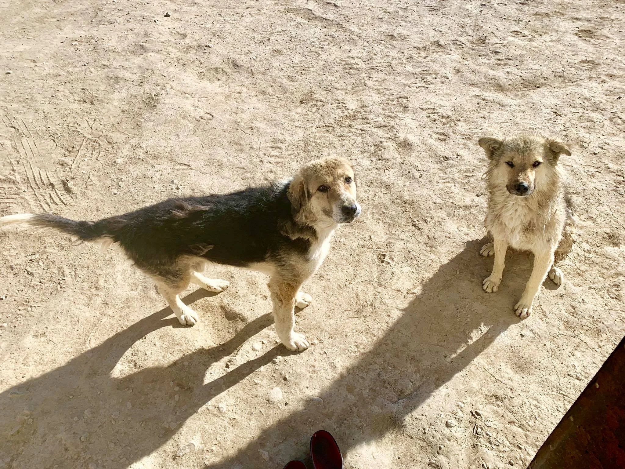 Kach Solo Travels in 2019 Homestay at Bulunkul Village21.jpg