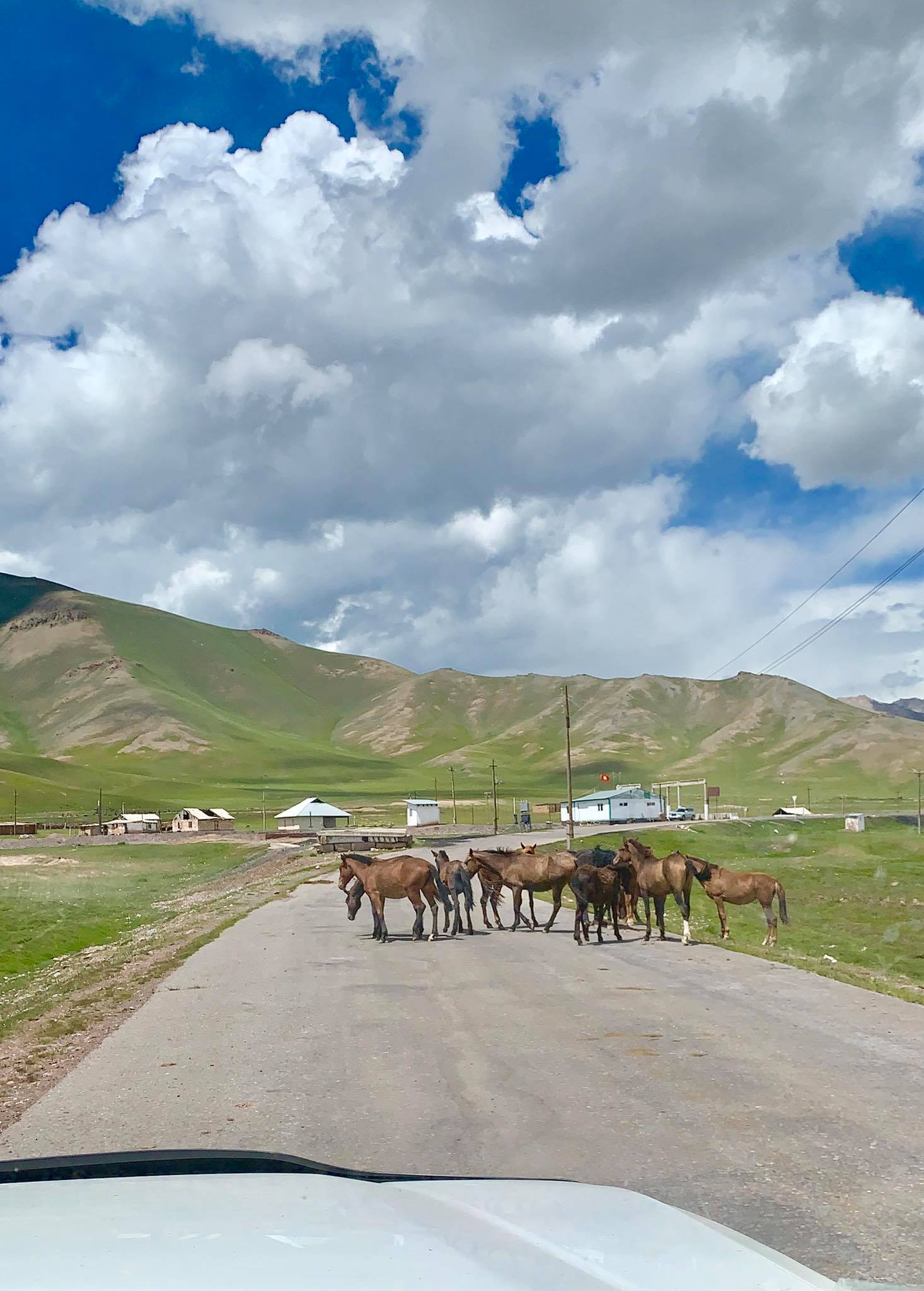 Kach Solo Travels in 2019 Hello from KYRGYZSTAN, my 128th country9.jpg