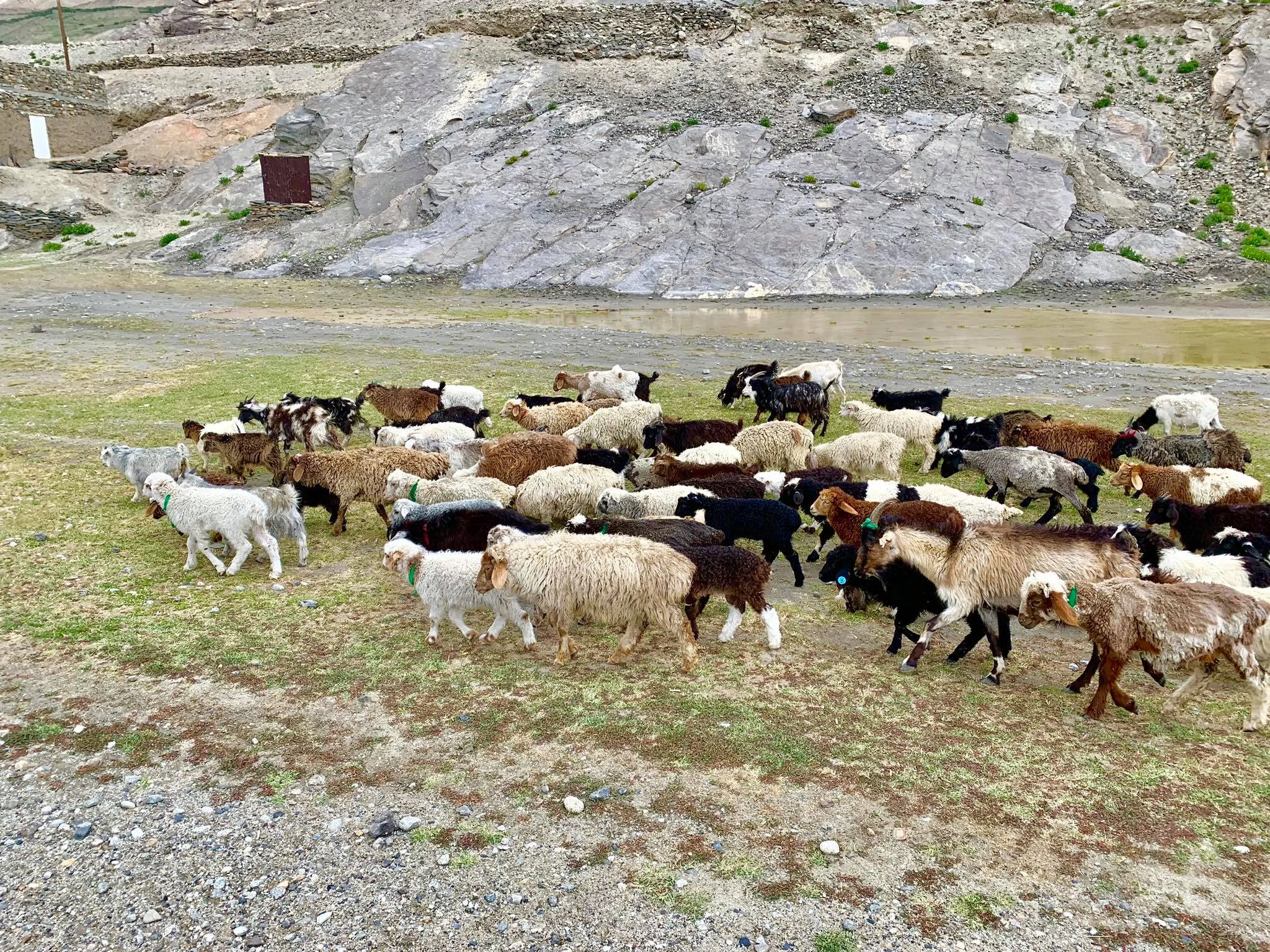 Kach Solo Travels in 2019 Driving from Ishkashim to Wakhan Valley7.jpg