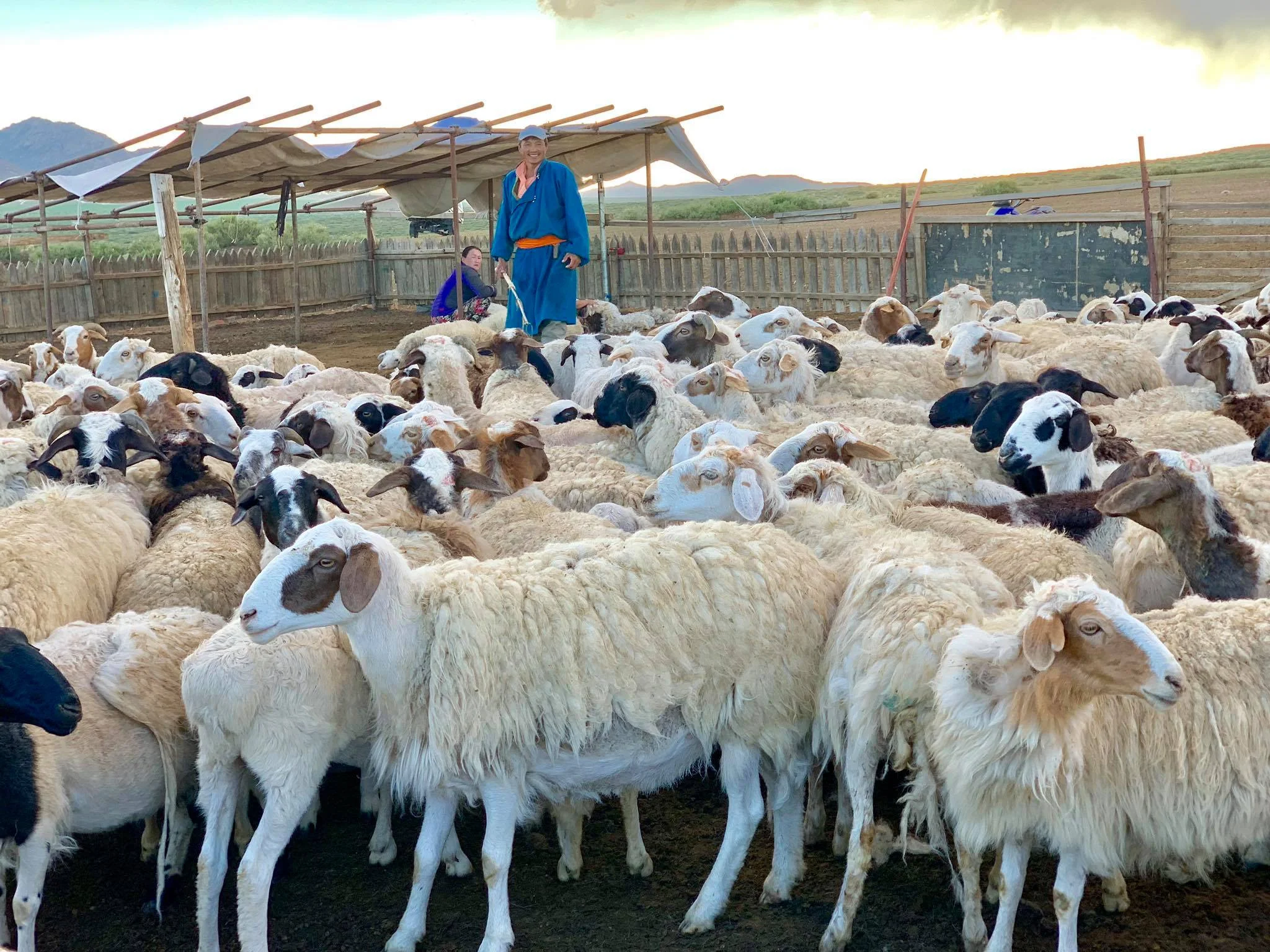 Kach Solo Travels in 2019 Nomadic family in Elsen Tasarkhai21.jpg