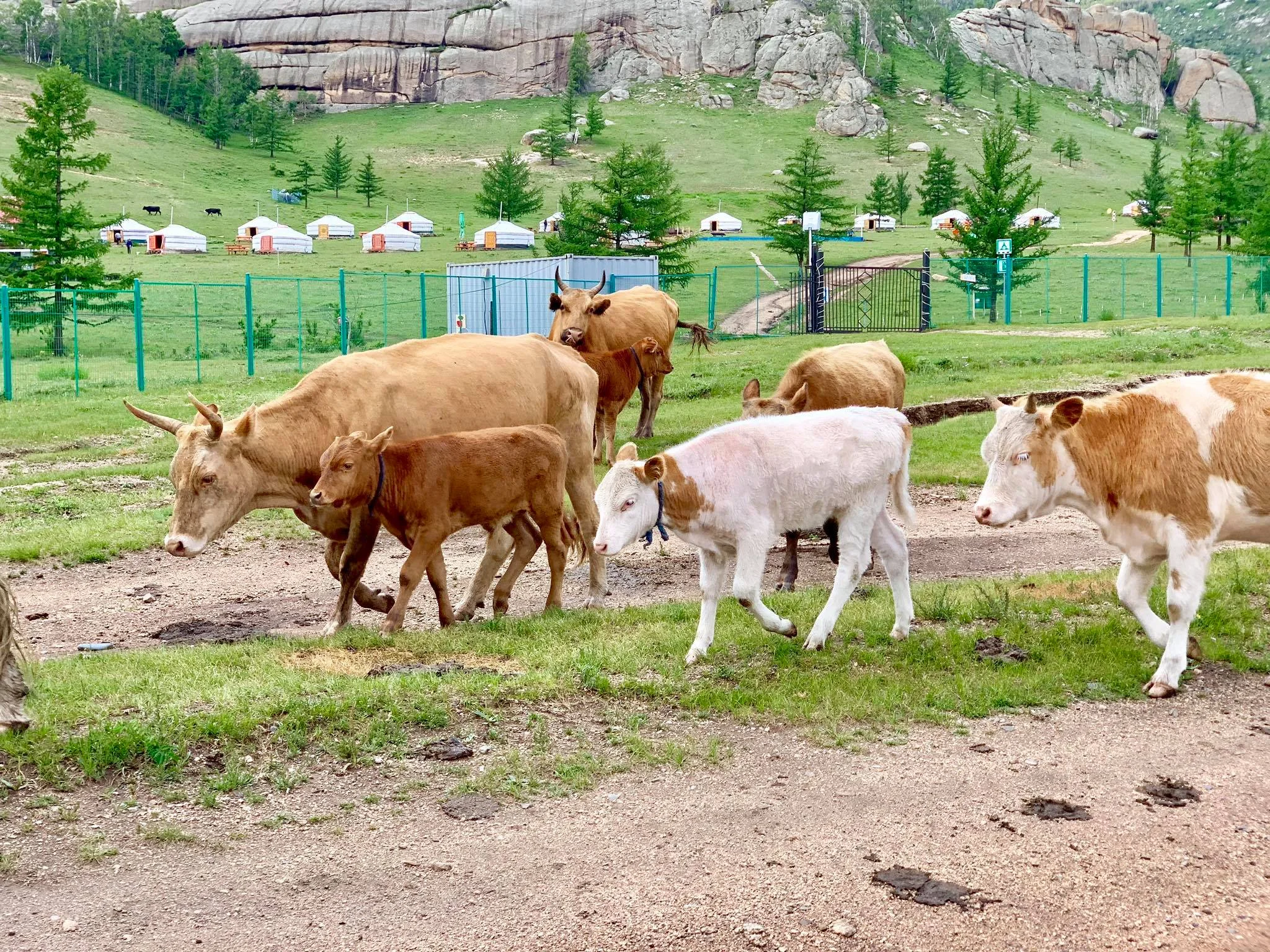 Kach Solo Travels in 2019 First two days in Mongolia19.jpg