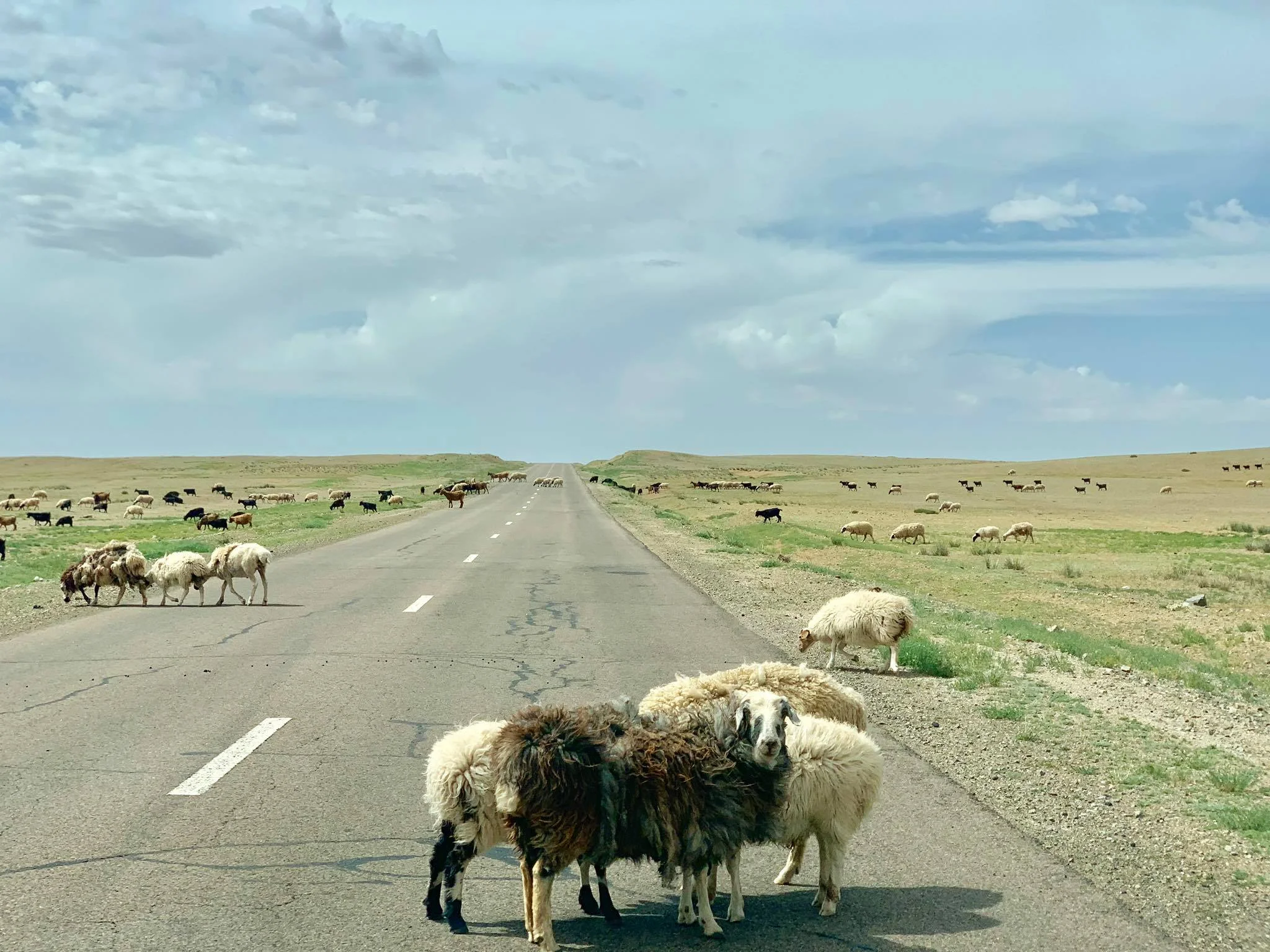 Kach Solo Travels in 2019 First two days in Mongolia22.jpg