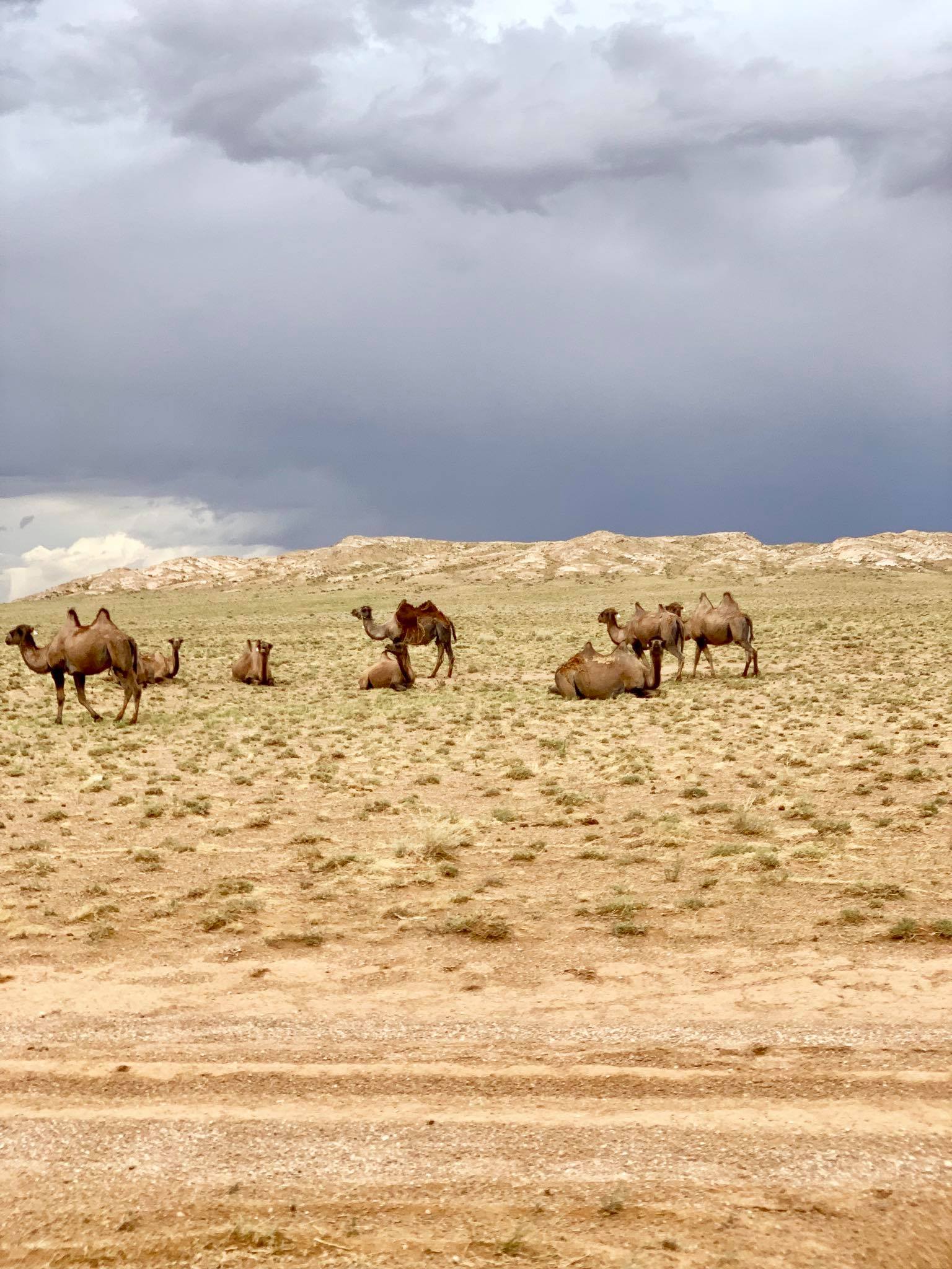 Kach Solo Travels in 2019 One of the hikes during my trip in Gobi desert24.jpg