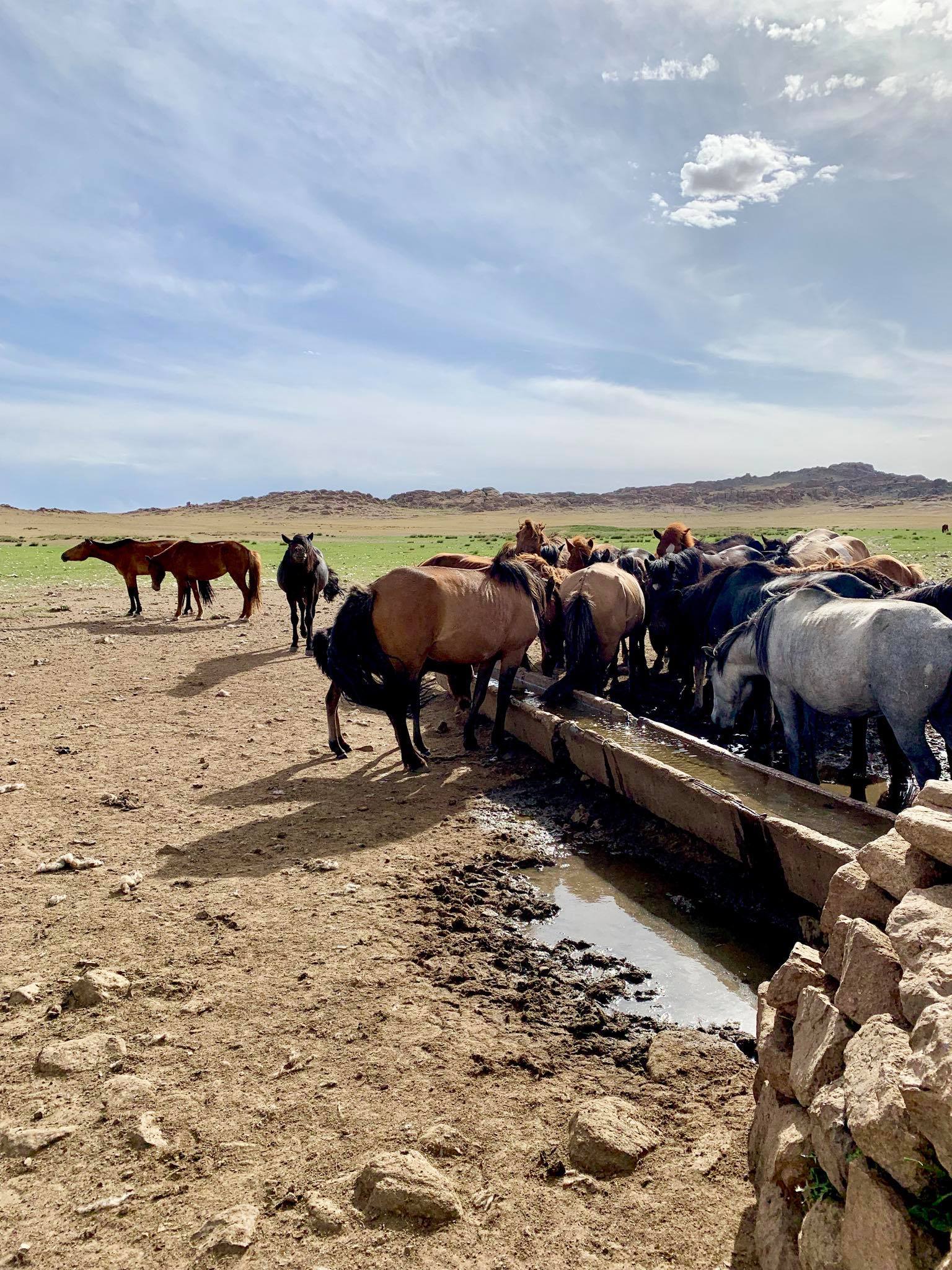 Kach Solo Travels in 2019 One of the hikes during my trip in Gobi desert26.jpg