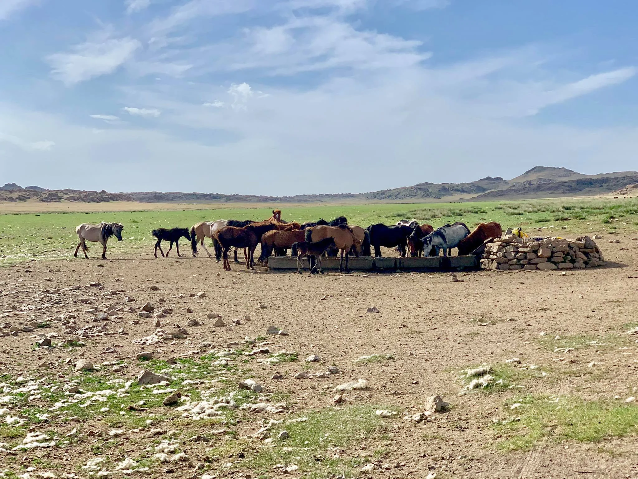 Kach Solo Travels in 2019 One of the hikes during my trip in Gobi desert22.jpg