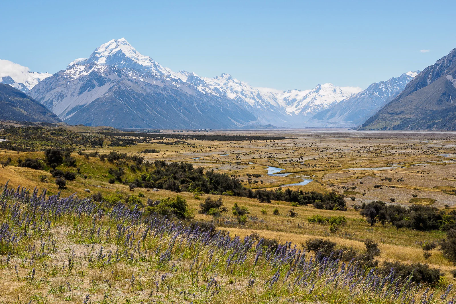 Photo by Bernard Spragg. NZ