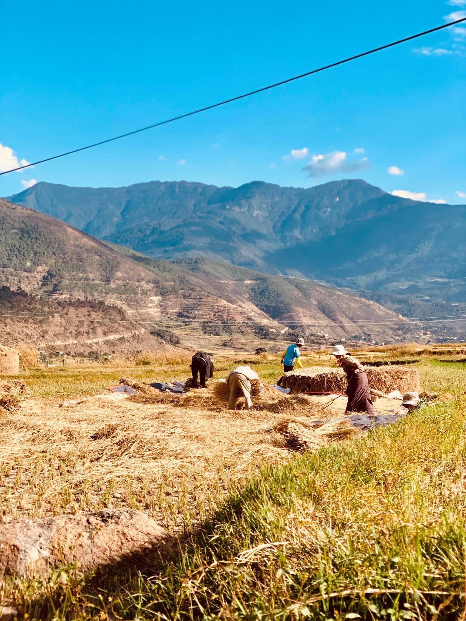 We went on a day trip from Thimpu to Punakha, Bhutan24.jpg