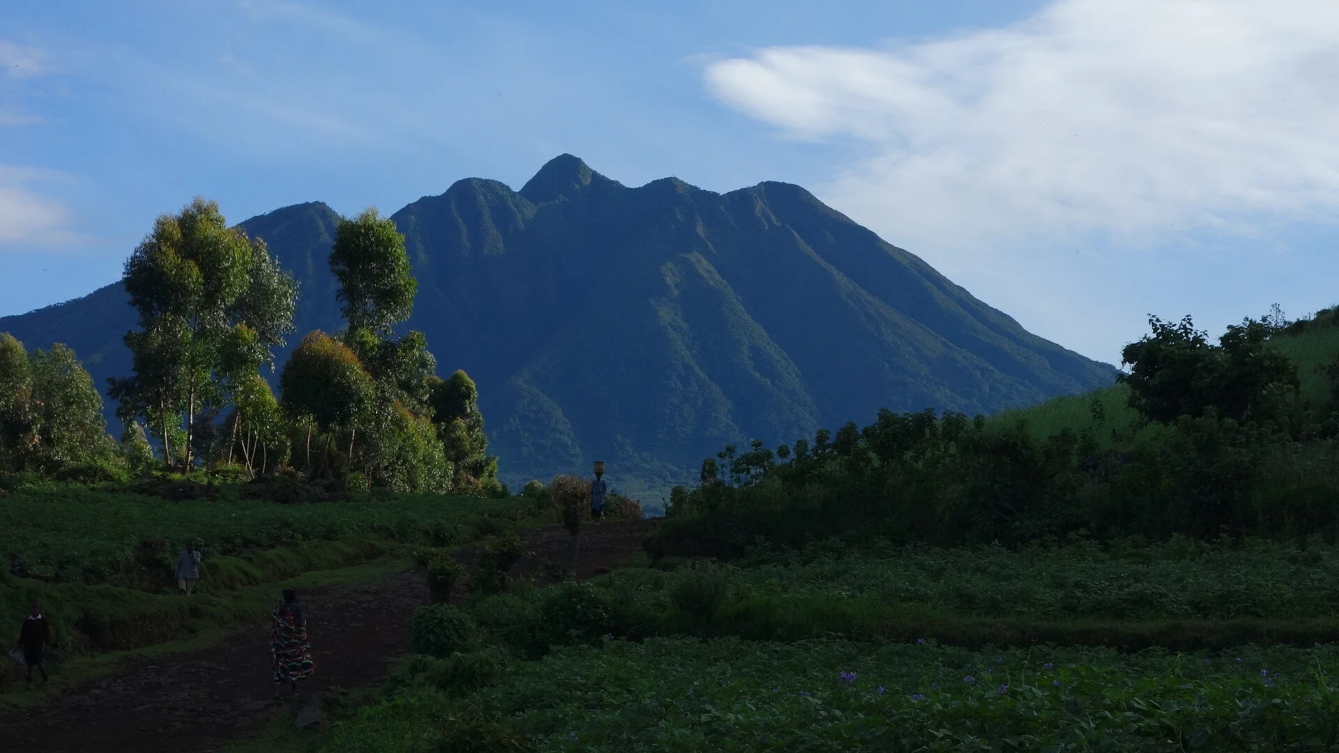 How To Get a Democratic Republic of Congo Tourist Visa in Washington DC, USA [Tourist Visa for Democratic Republic of Congo]