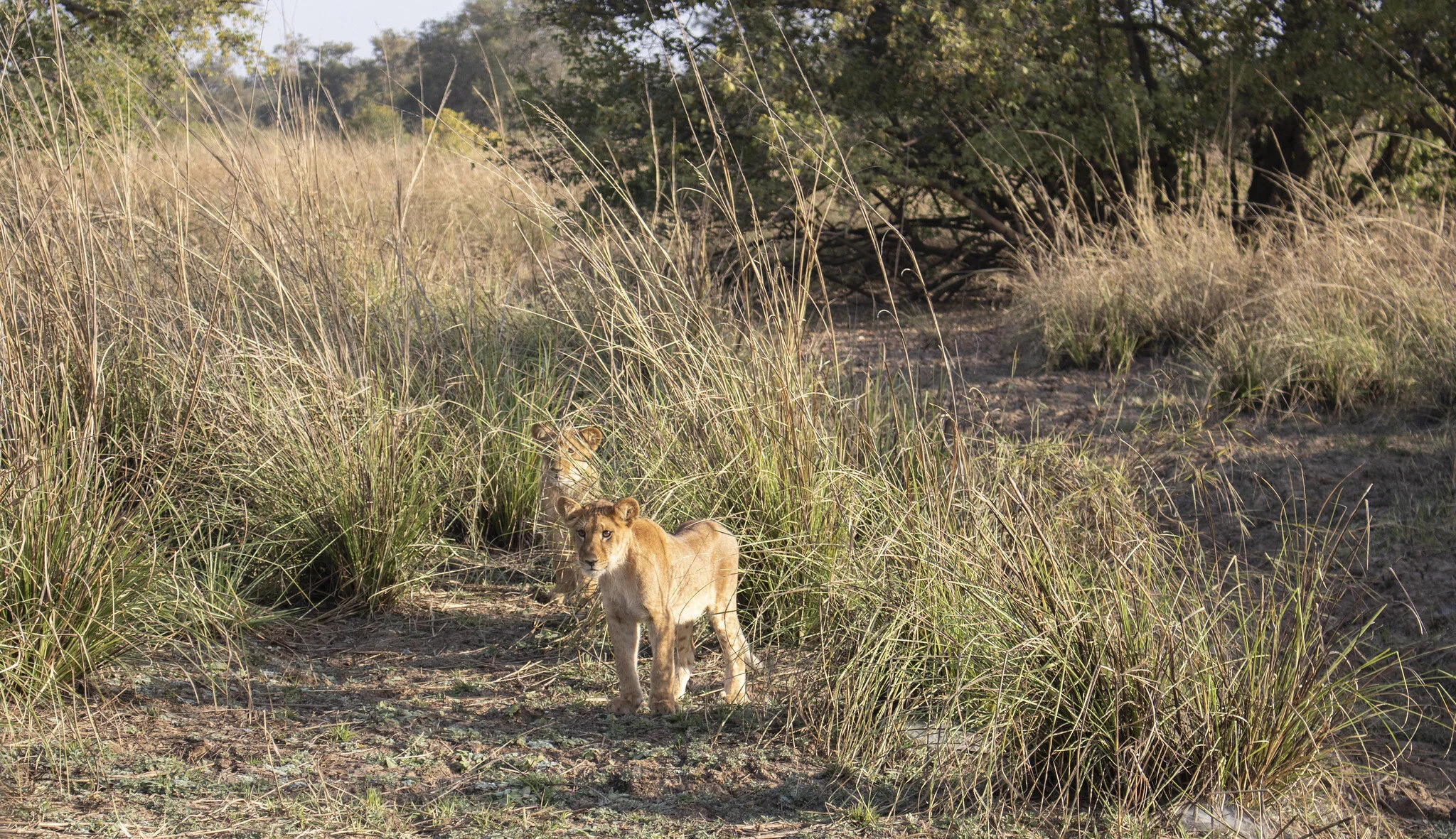 Benin Visa Free Guide - How Filipinos Can Enter Visa Free to Benin in Africa