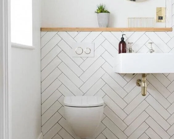 Guest Bathroom Inspiration Ideas with Decor Photos [Montenegro Stone House Renovation Vision Board]