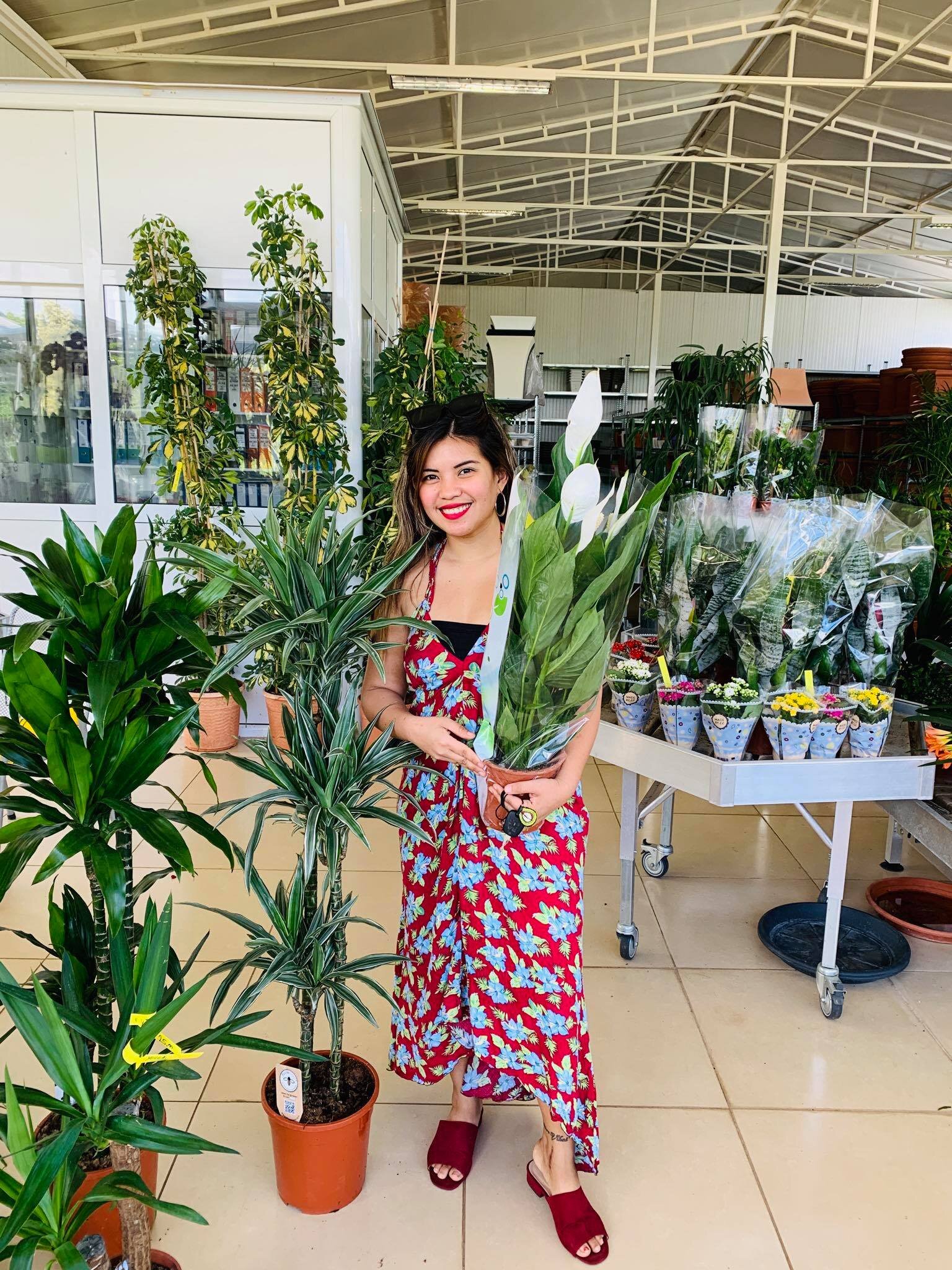 Expat Life in Montenegro Day 362 Indoor plants shopping day!!1.jpg