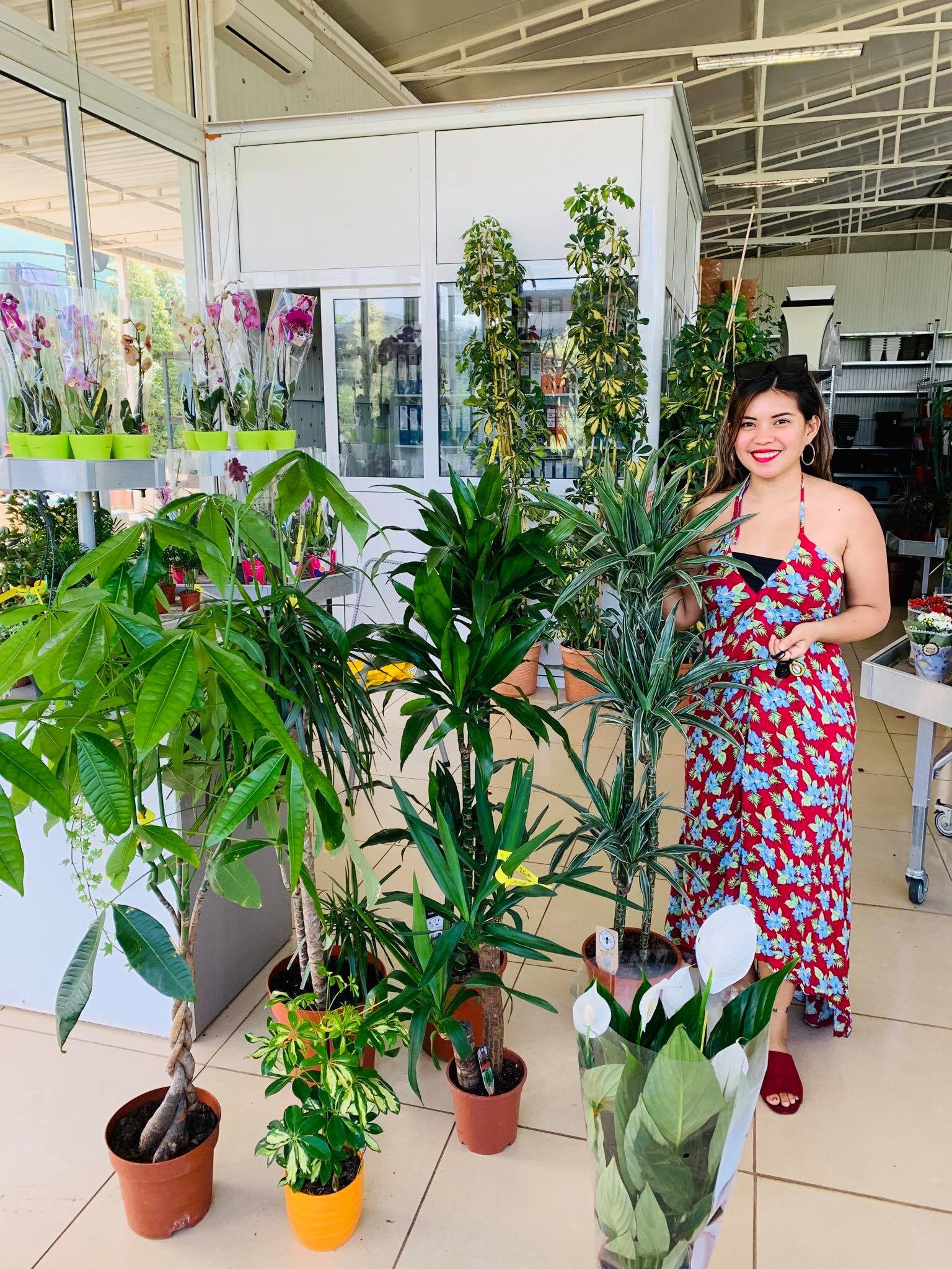Expat Life in Montenegro Day 362 Indoor plants shopping day!!2.jpg