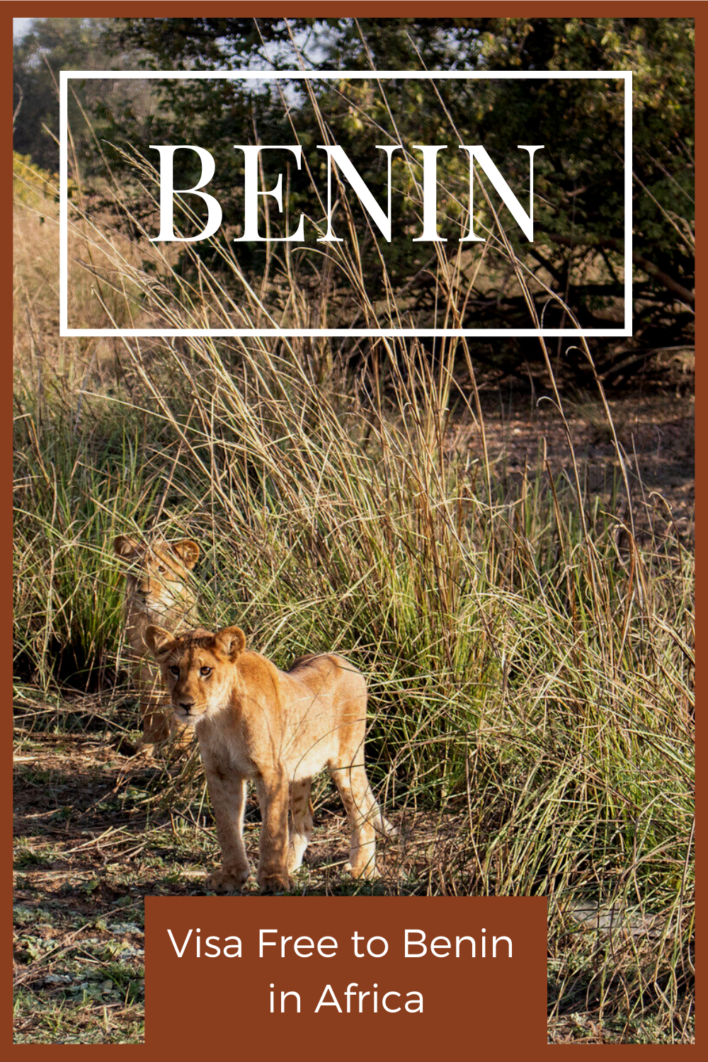 Benin Visa Free Guide 1.png