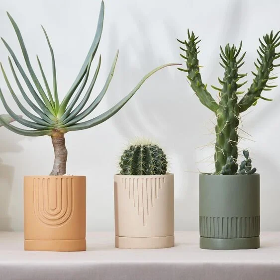 Cool Indoor House Plant Pots Inspiration [Montenegro Stone House Renovation Vision Board]