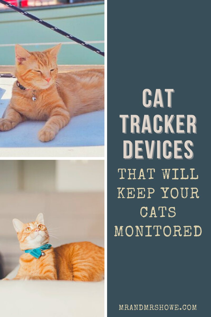 Outdoor Cats Tips - 7 Cat Tracker Devices That will Keep Your Cats Monitored If They Explore Outside.png