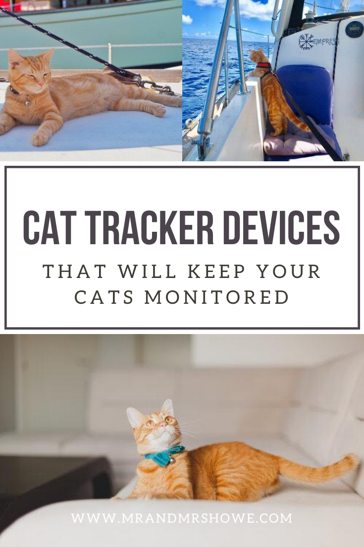 Outdoor Cats Tips - 7 Cat Tracker Devices That will Keep Your Cats Monitored If They Explore Outside1.png