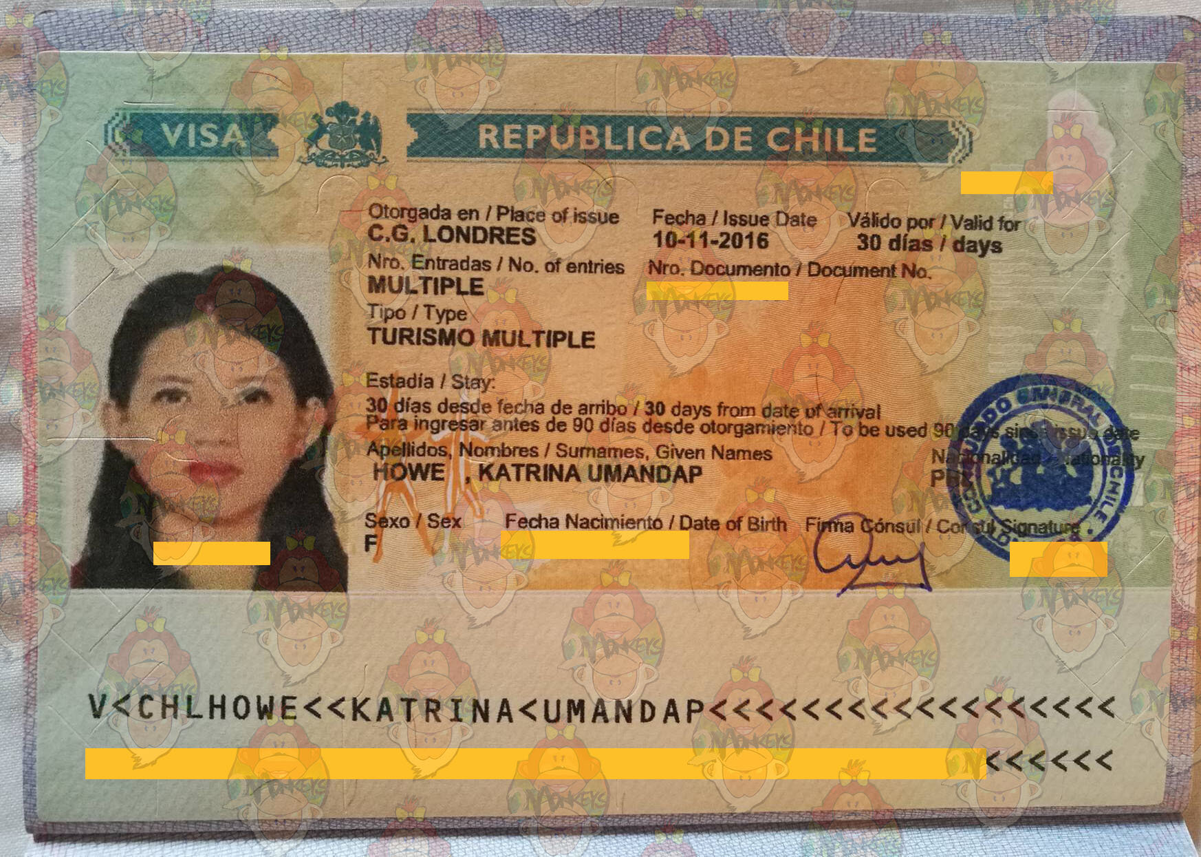 chile tourist visa from india