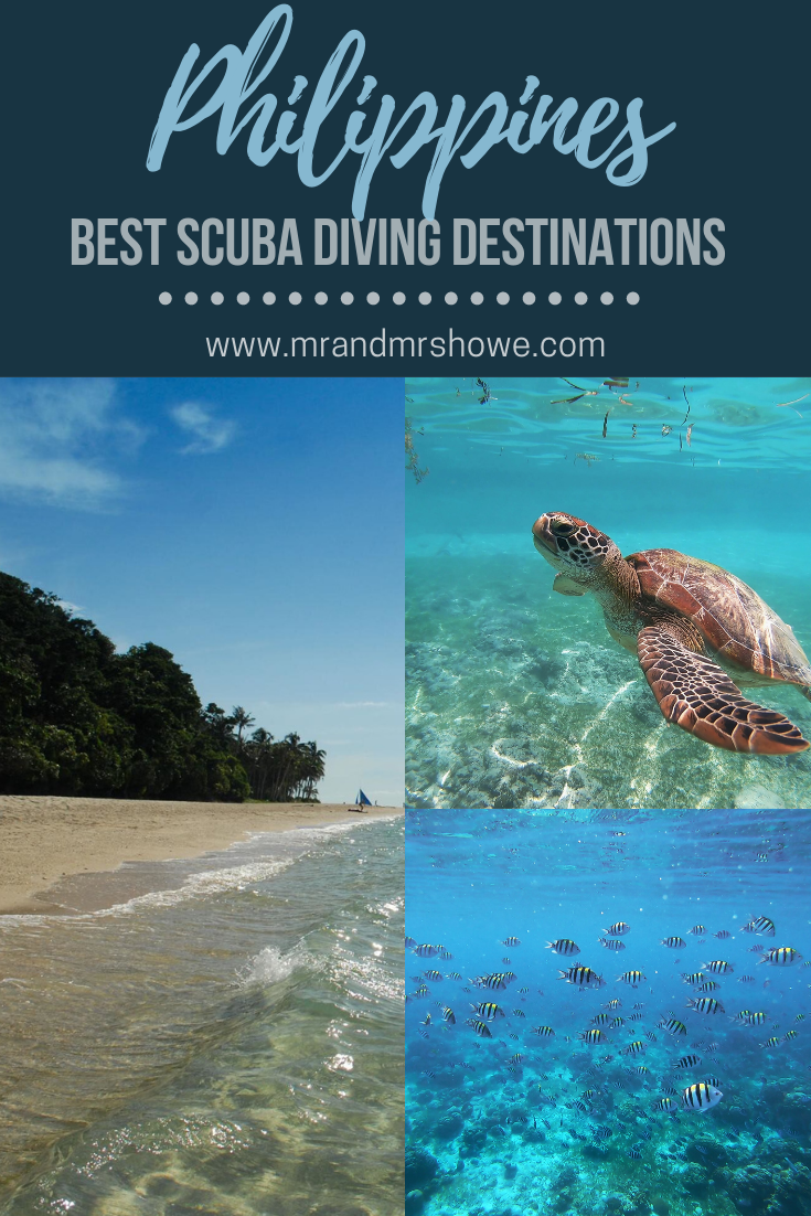 20 Best Scuba Diving Destinations in the Philippines - Where to Go Diving in the Philippines1.png