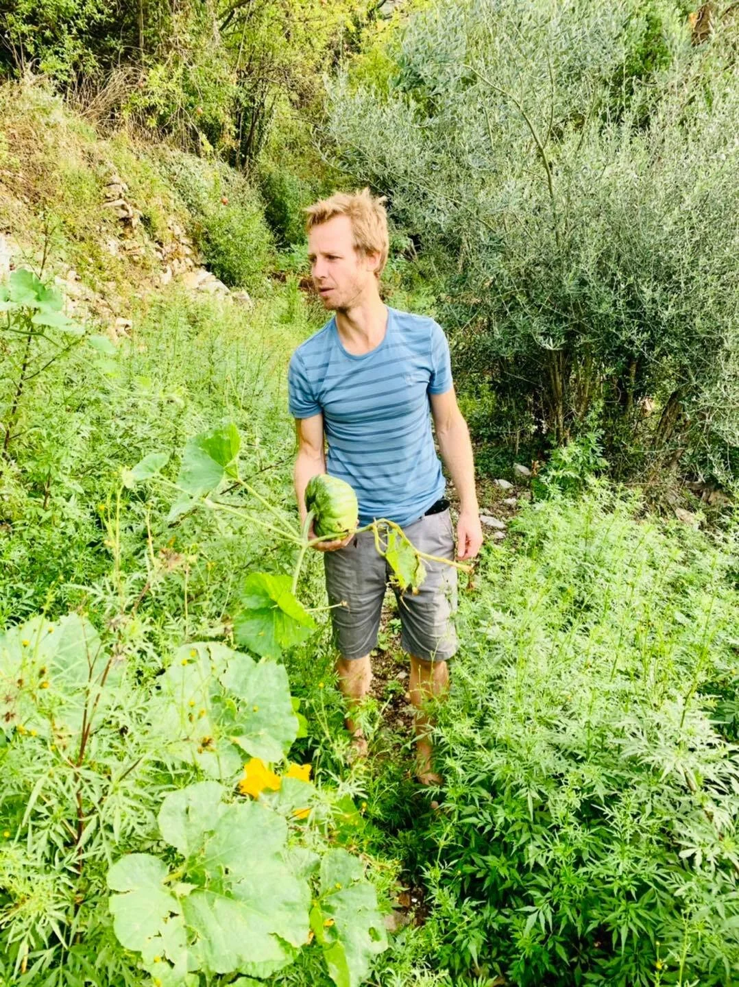 Expat Life in Montenegro Day 495: Our quiet and simple life at home - organic garden and cooking! 😋