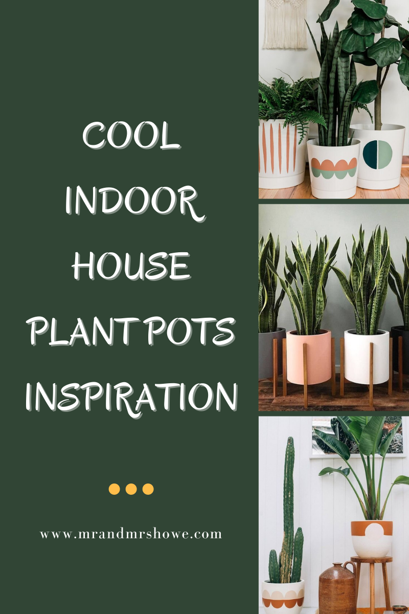 Cool Plant Pots Inspiration Montenegro Stone House Renovation Vision Board