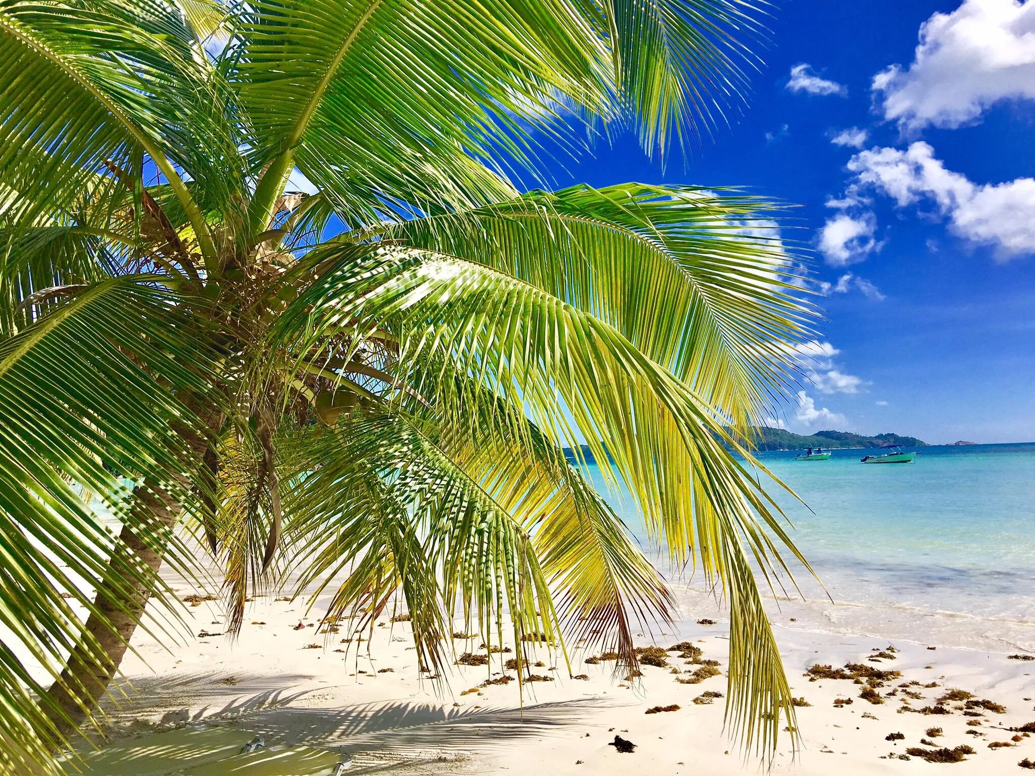 Kach Solo Travels in 2017: Beautiful place in Praslin, Seychelles! 