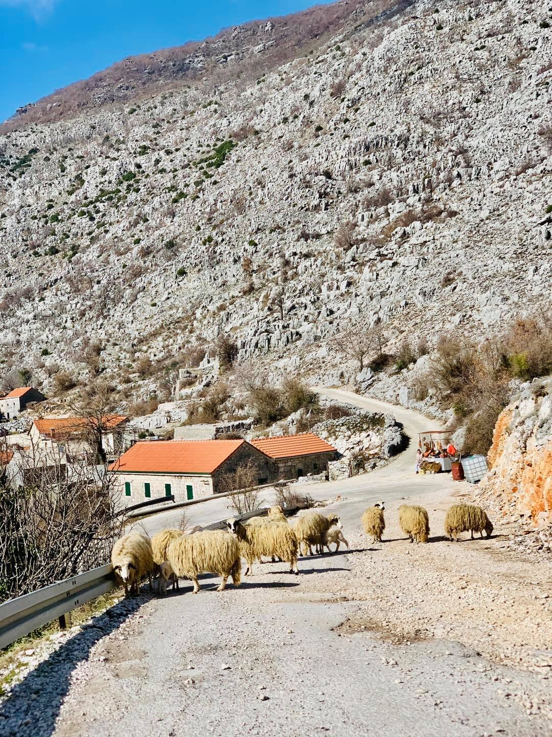 Roadtrip to Kameno and Vrbanj, Montenegro13.jpg