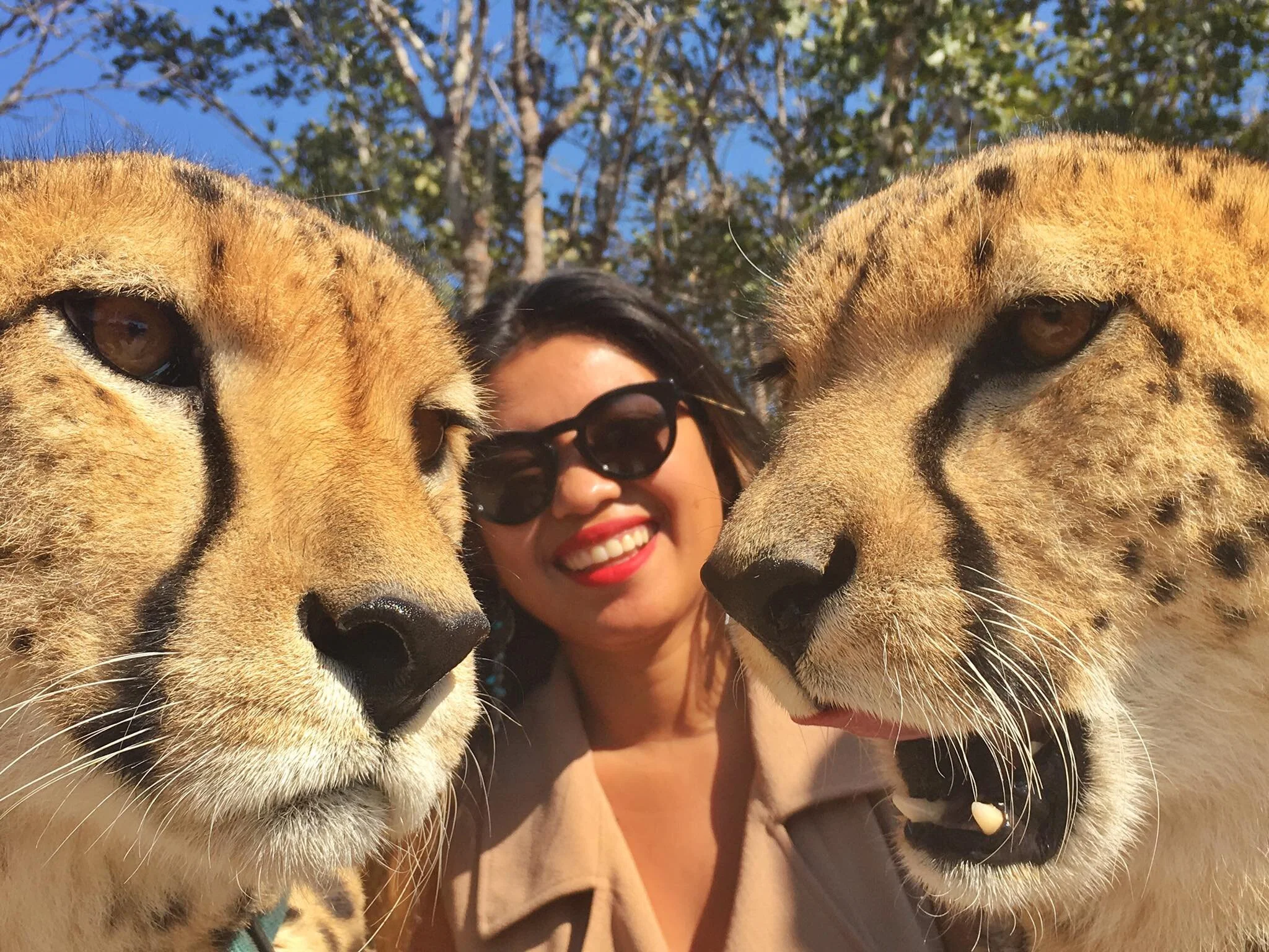 Kach Solo Travels in 2017: Chaminuka Safari Day Tour in Lusaka, Zambia!