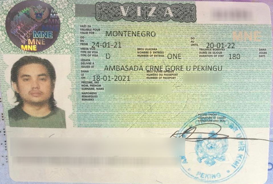 Montenegro-D-Visa.png